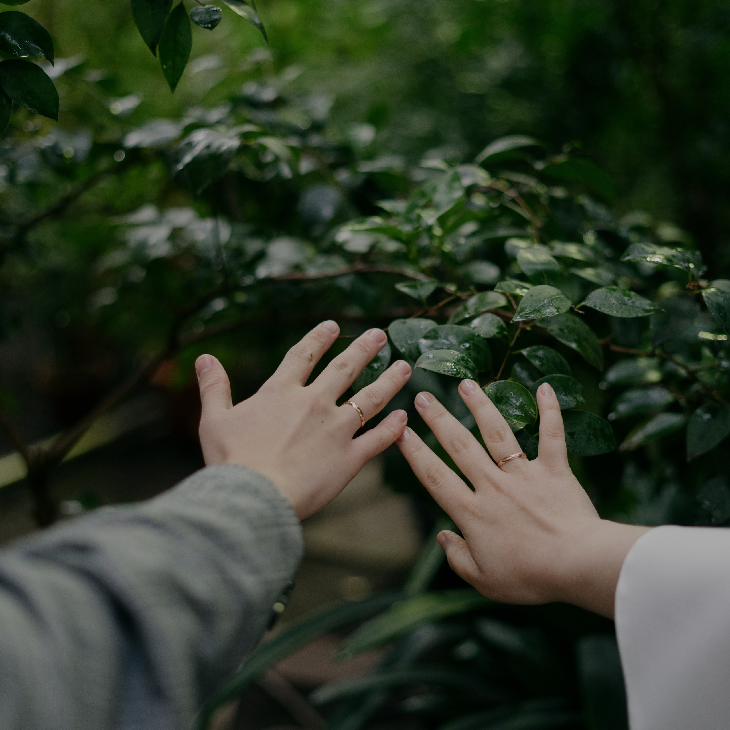 Услуги. Фотограф Томск Новосибирск Елизавета Вахтеева