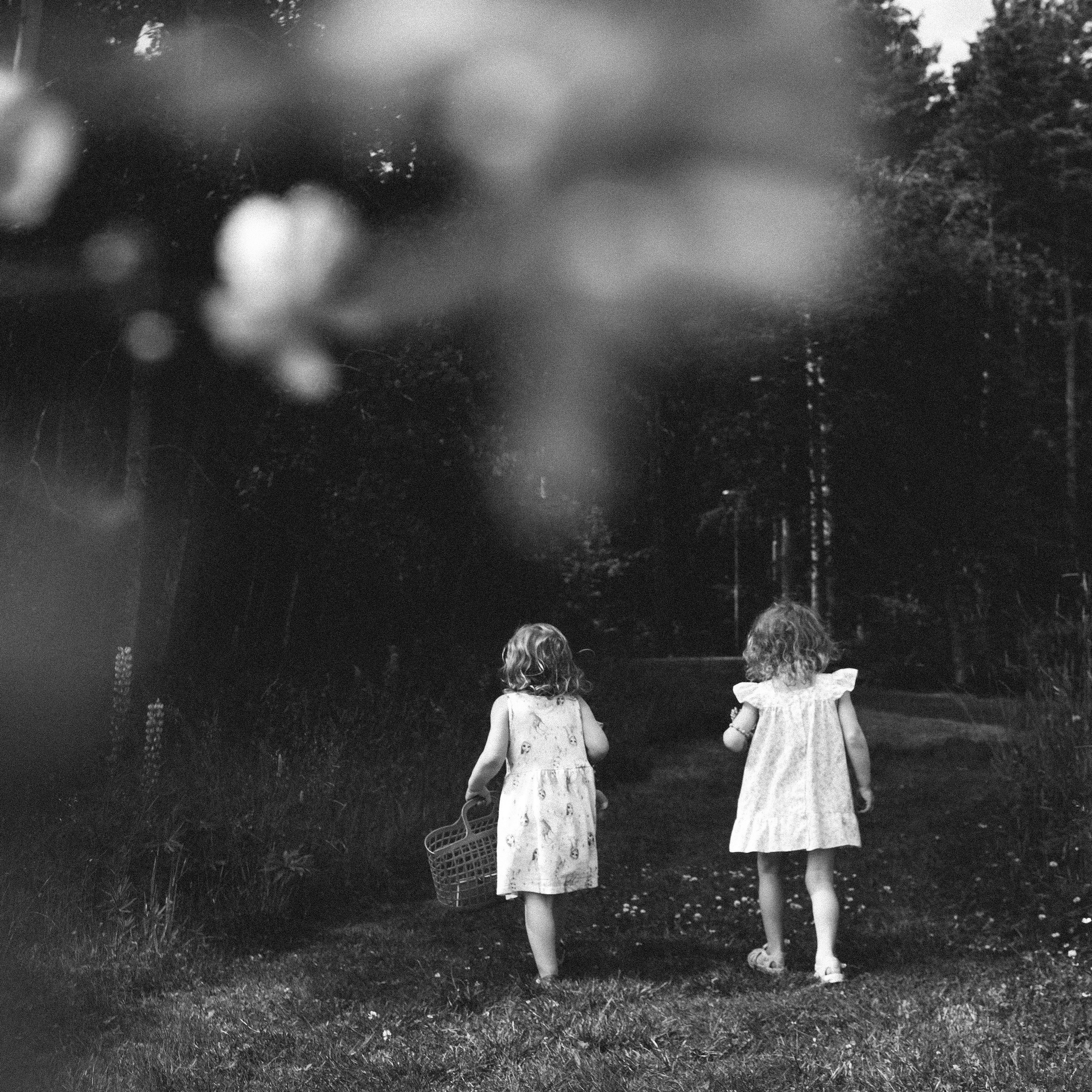 Услуги. Свадебный и семейный фотограф в Санкт-Петербурге Полина Иванова