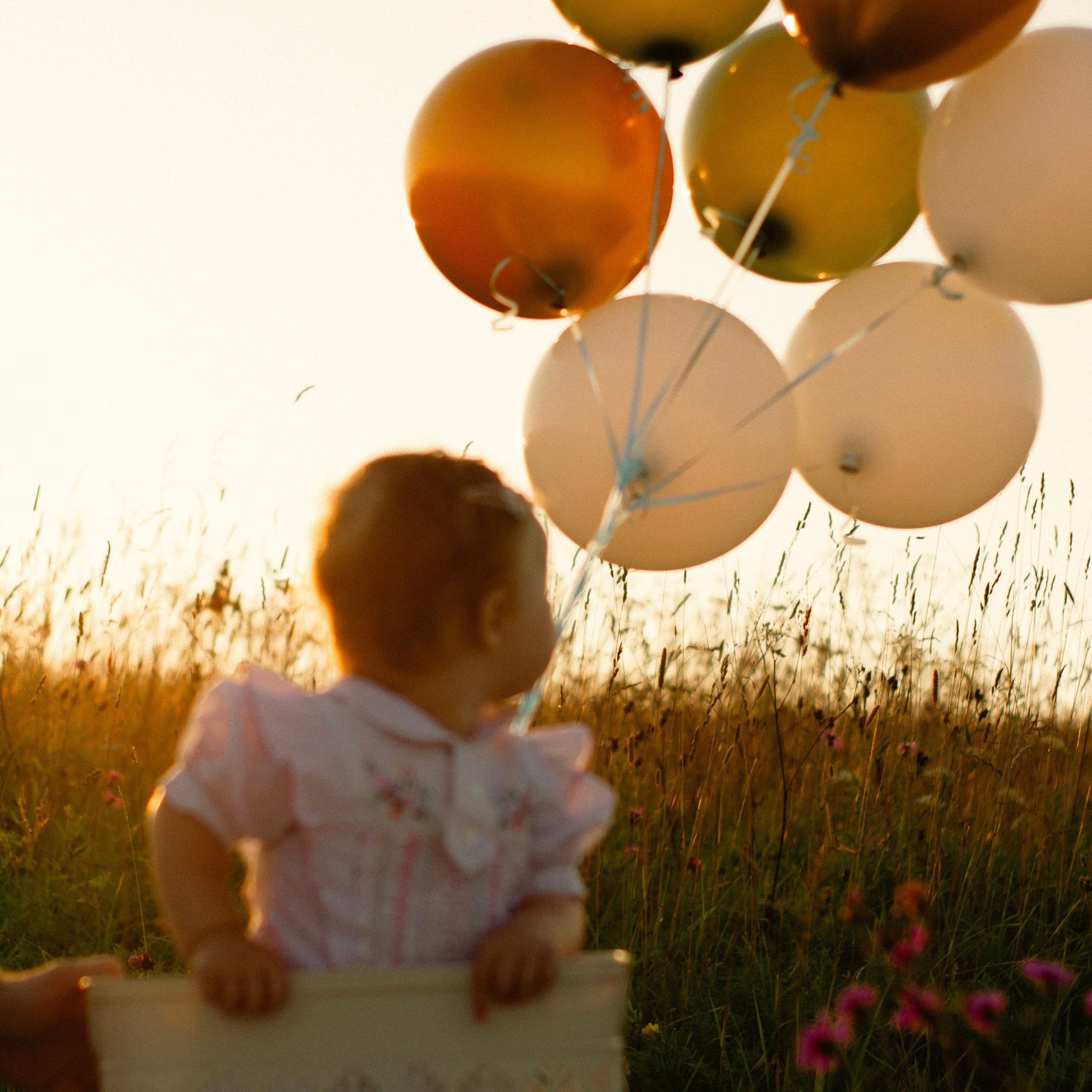 Услуги. Ph Volova