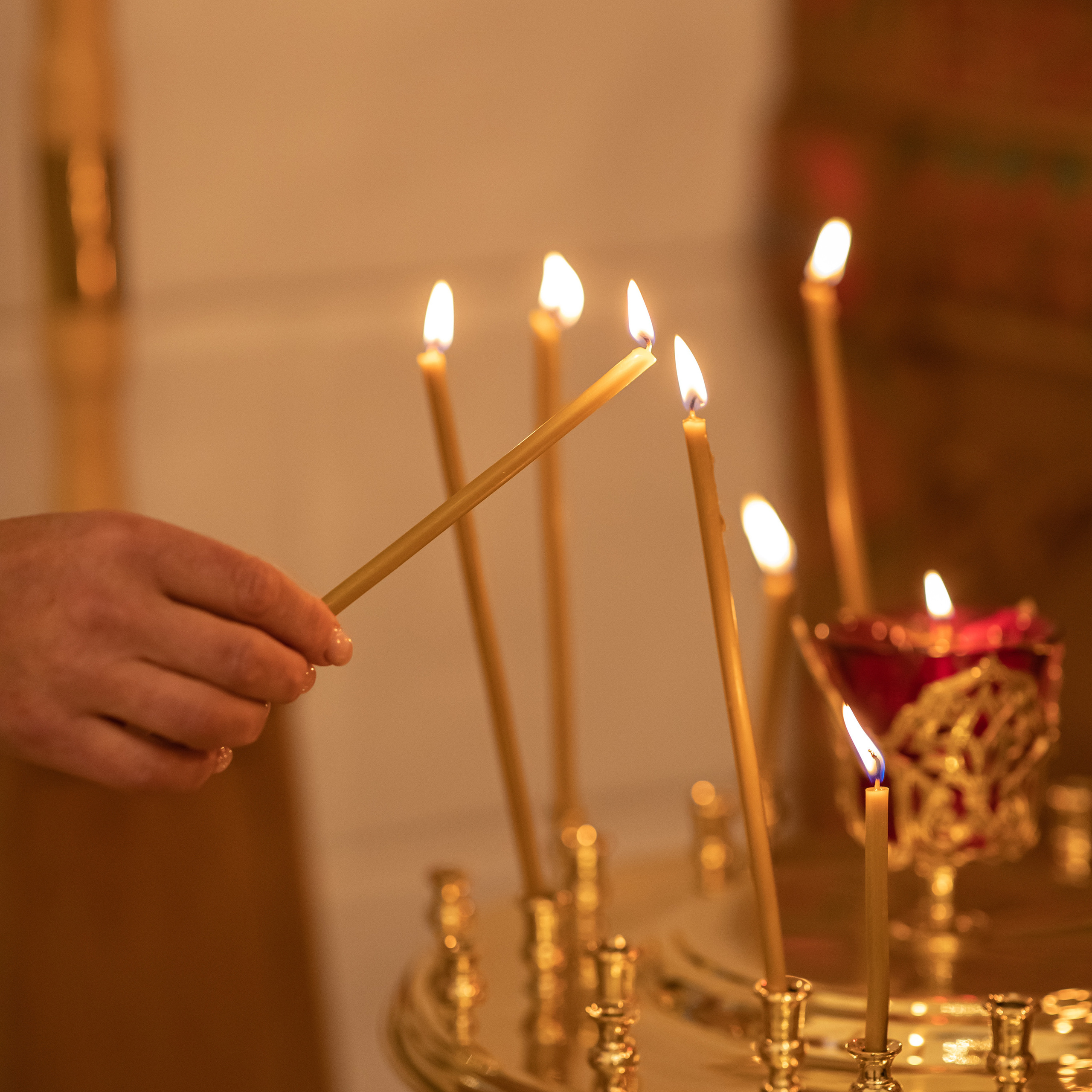 Услуги. Портретный и семейный фотограф в Москве Ольга Туровцева