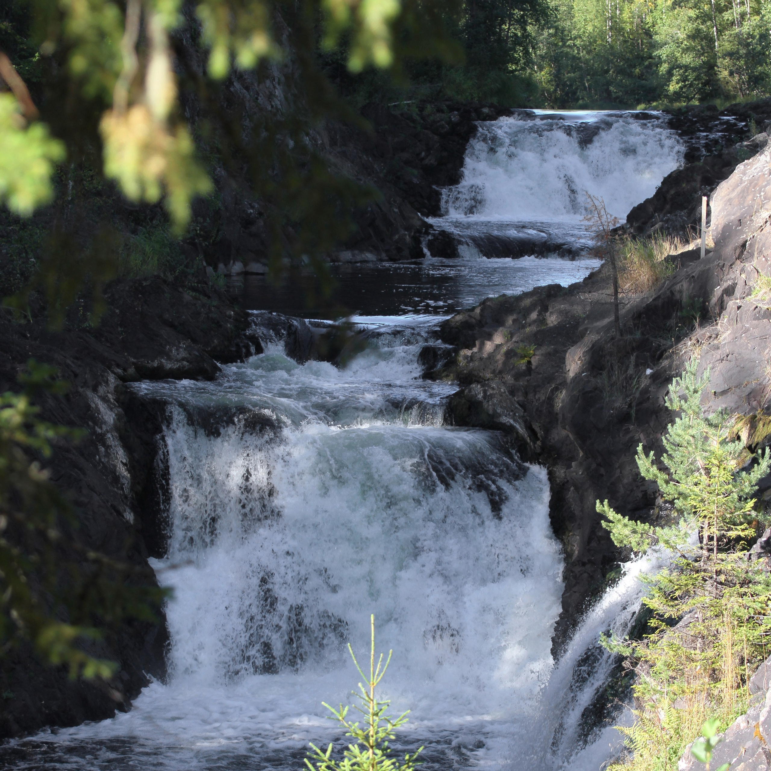 Иваново РИАТ Абриколь