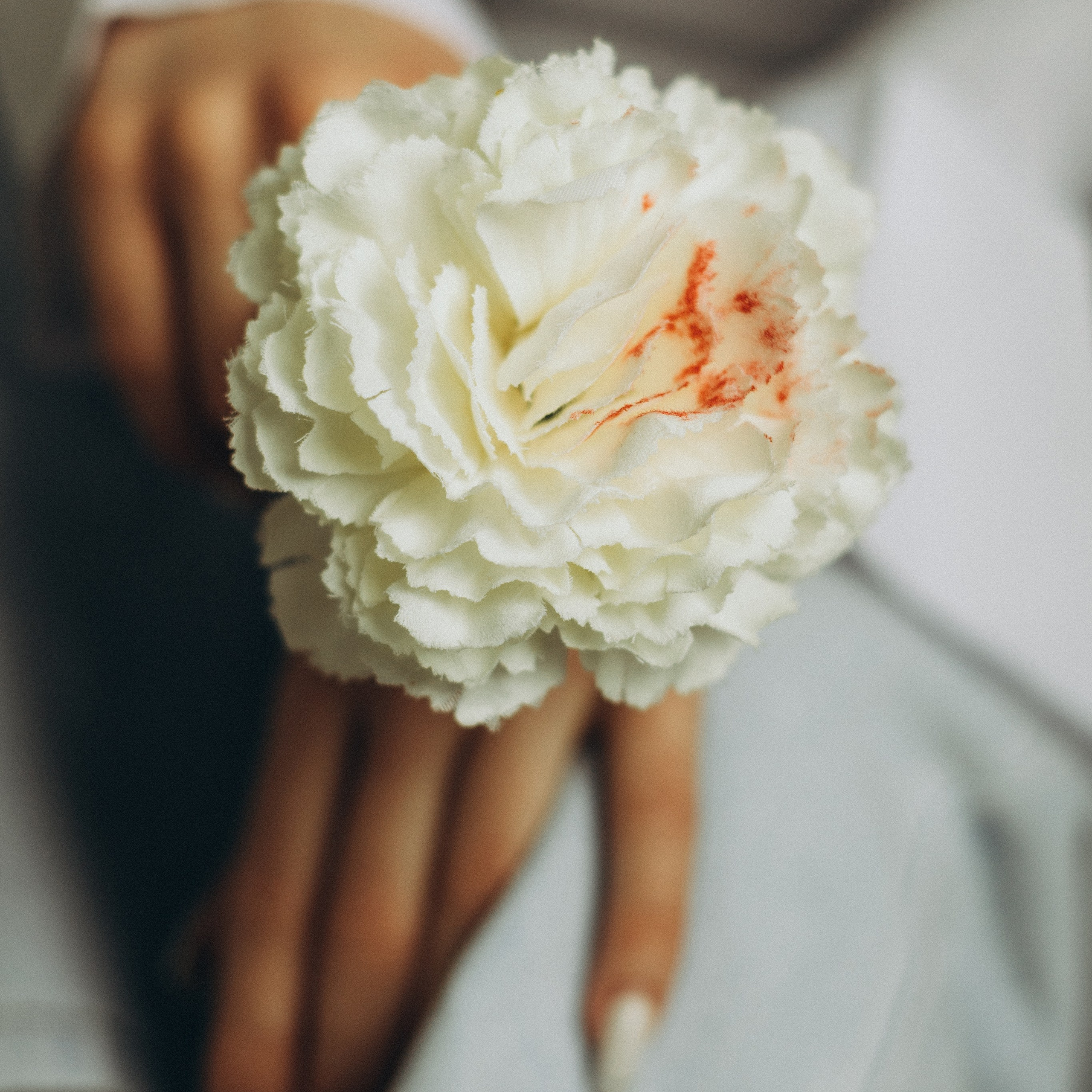 Услуги. Анна Лобастова | Фотограф для особенных мгновений ❤ Москва Люберцы