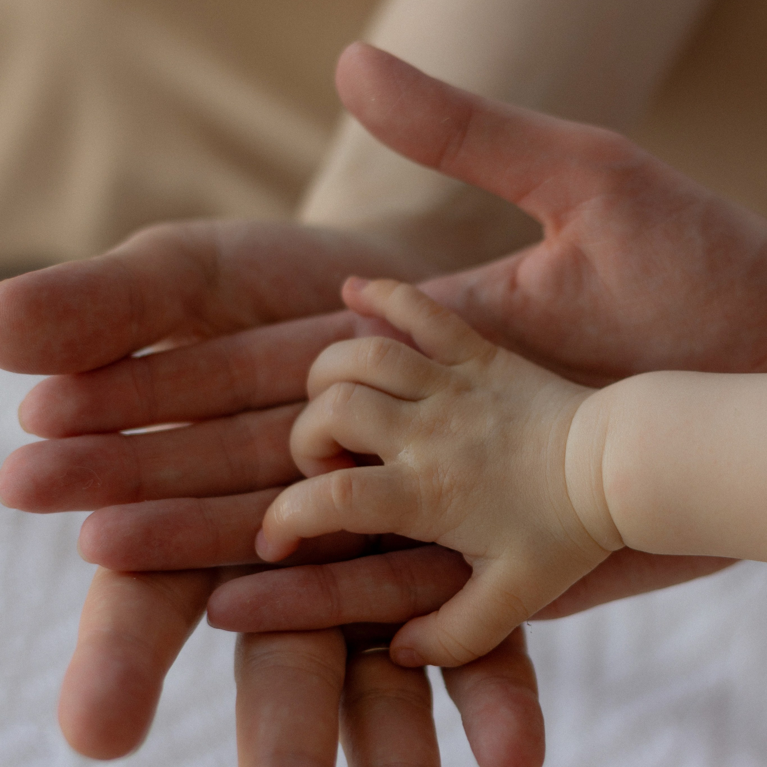 Услуги. Семейные, детские, индивидуальные фотосессии. Фотограф в Ярославле Анастасия Борзова