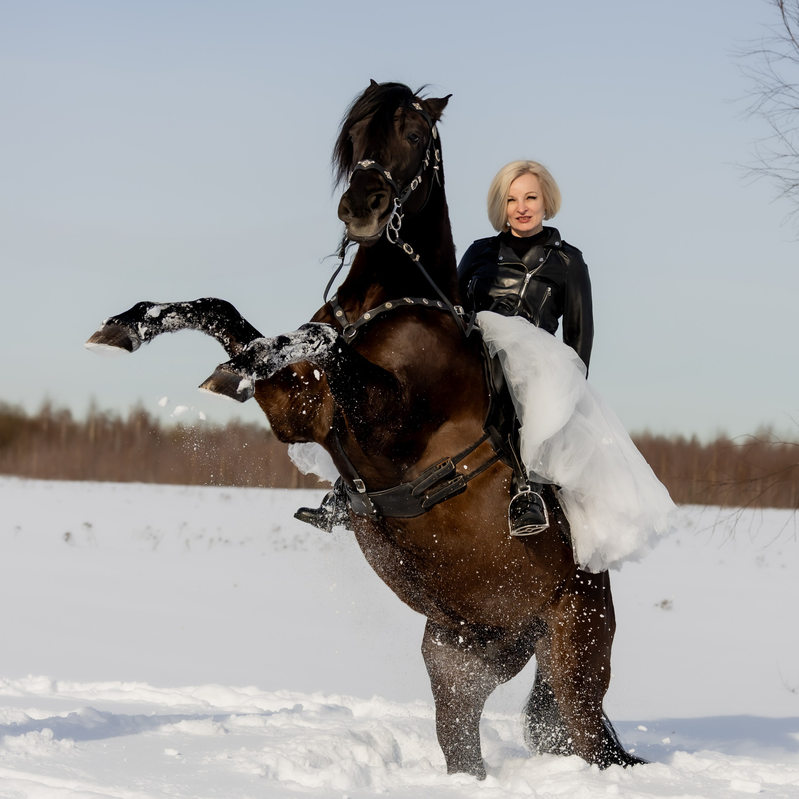 Стоимость моих услуг. Конный фотограф в Москве Светлана Богначева
