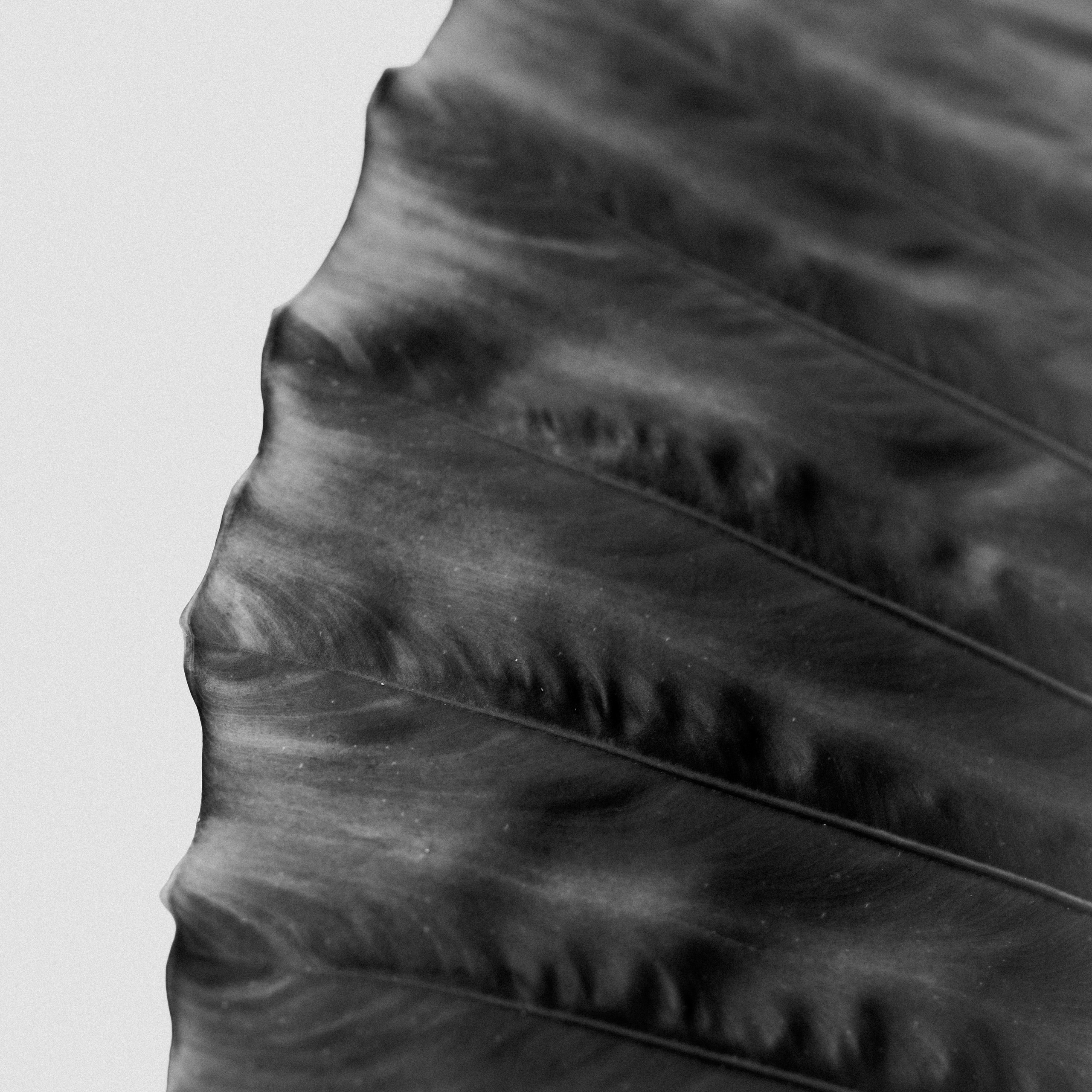 Contacts. @beingabird.photography