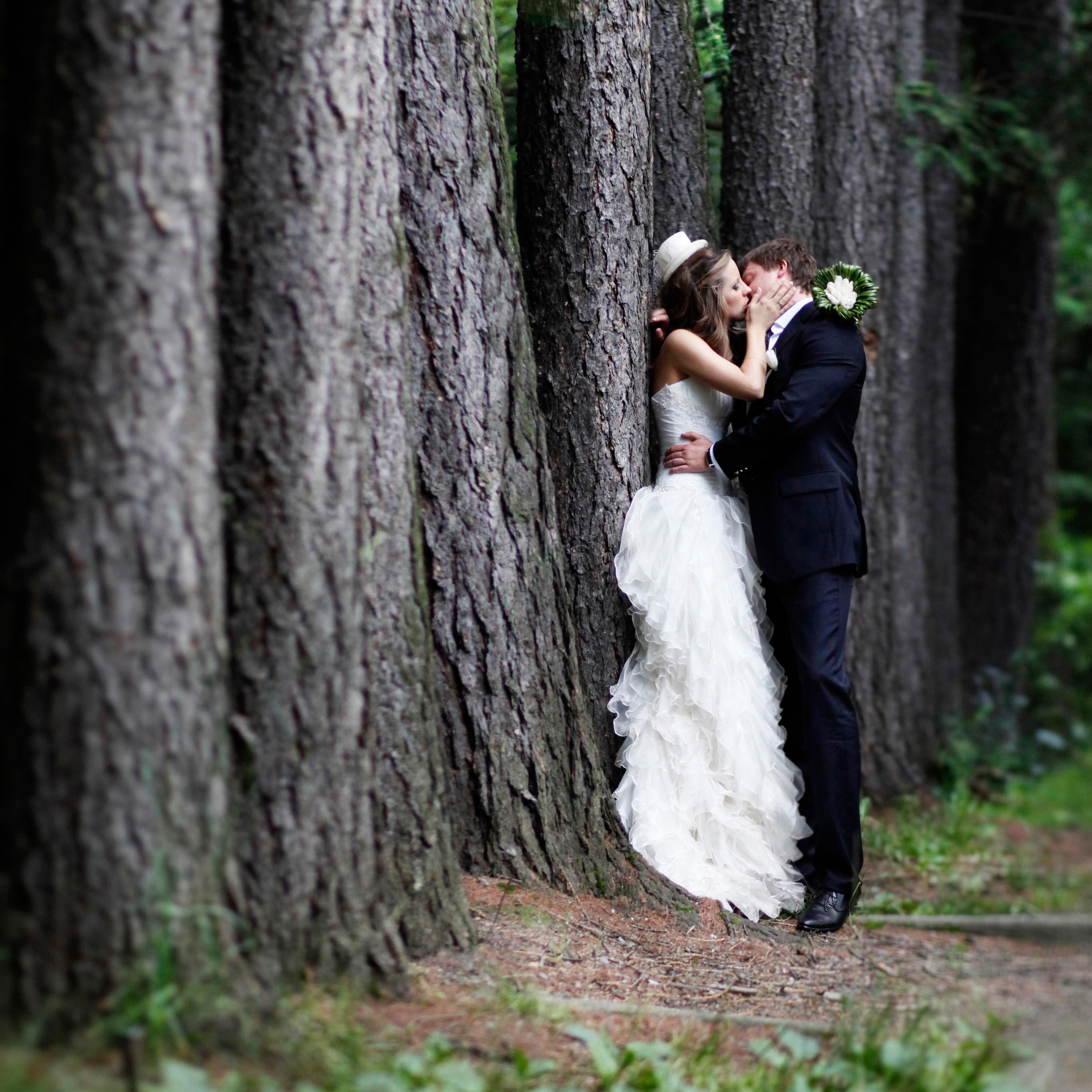 свадебная фотосессия молодожен в центральном парке Екатеринбурга на фоне крон больших деревьев