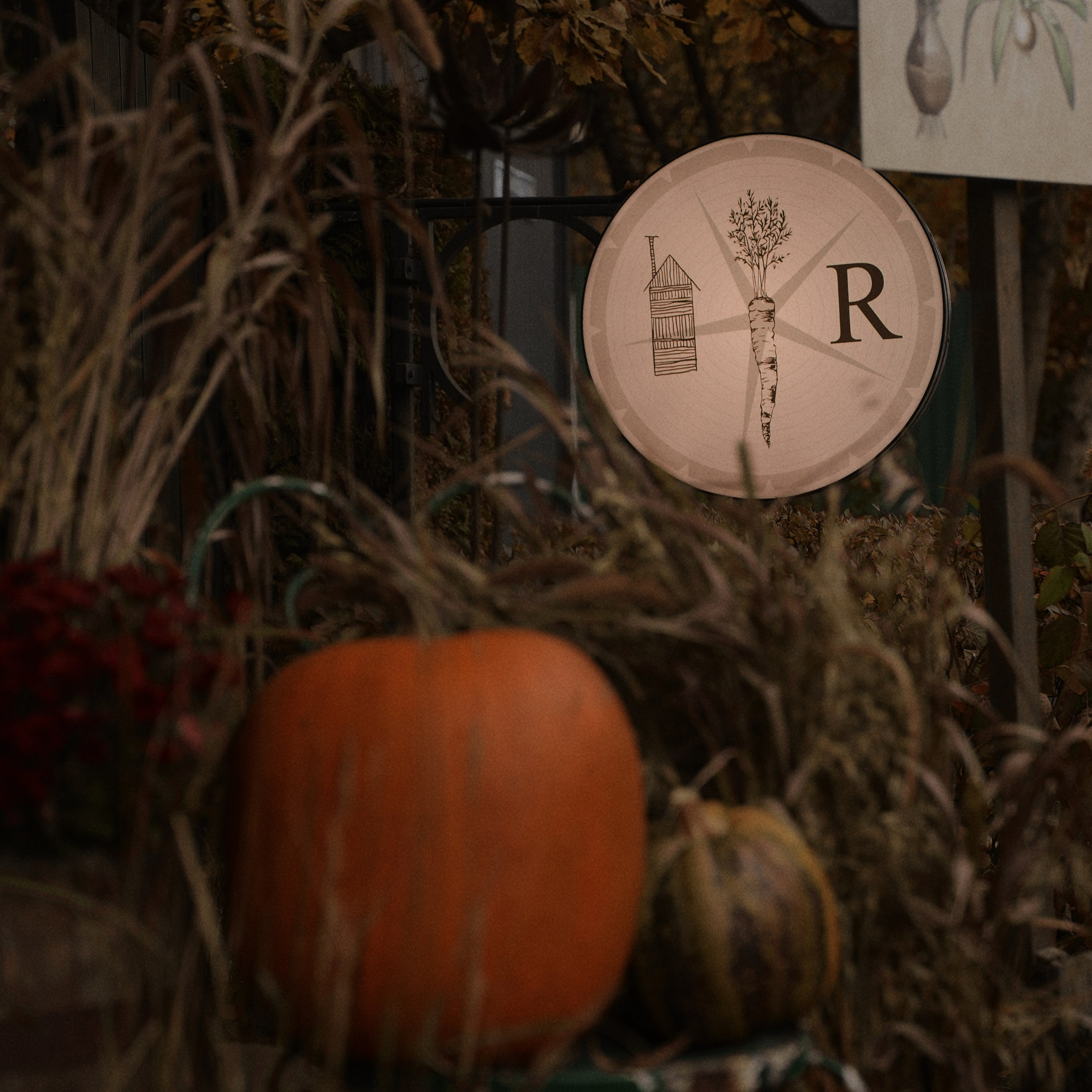 Стильный фотограф и видеограф в Москве и Троицке