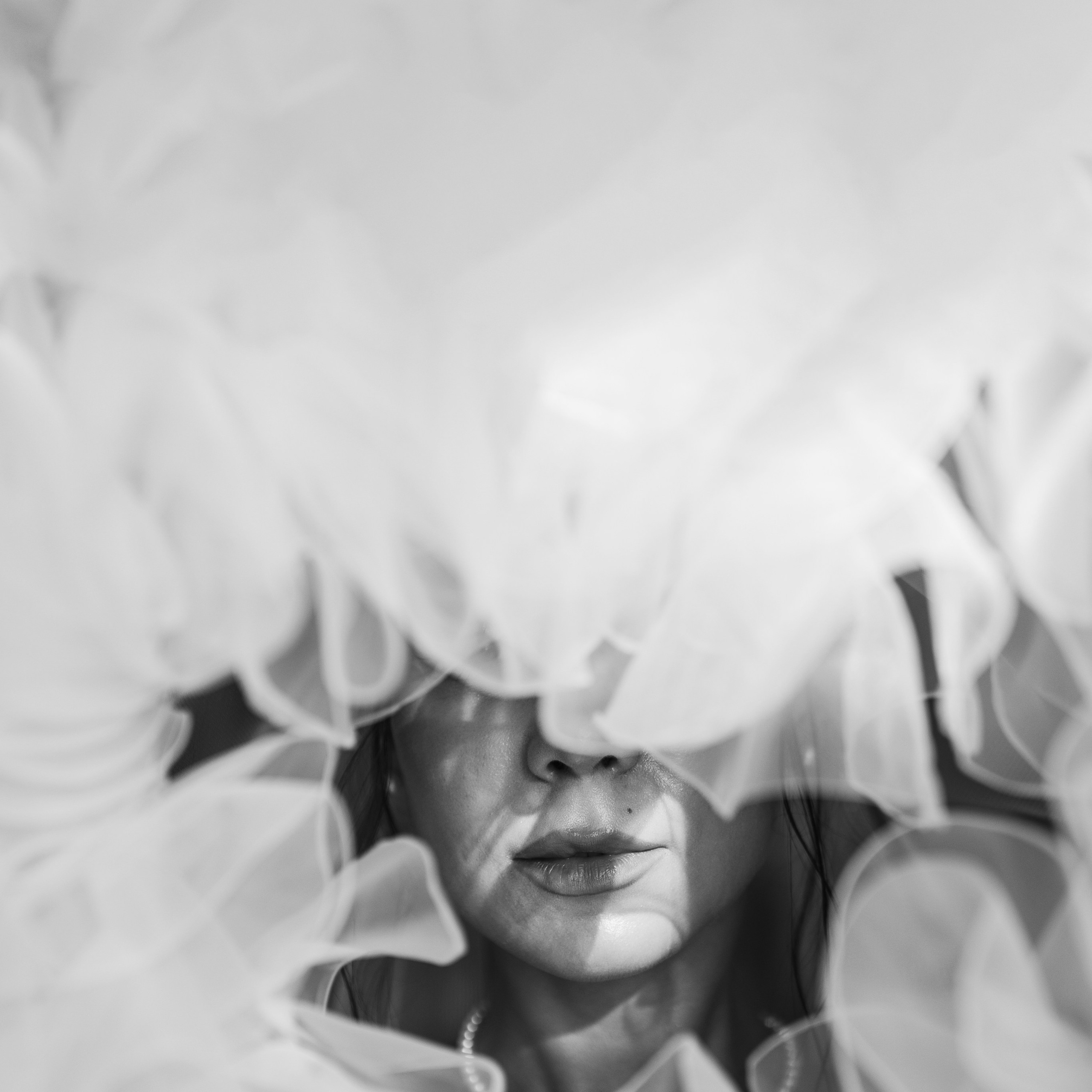 Стоимость. Свадебный и семейный фотограф в Москве