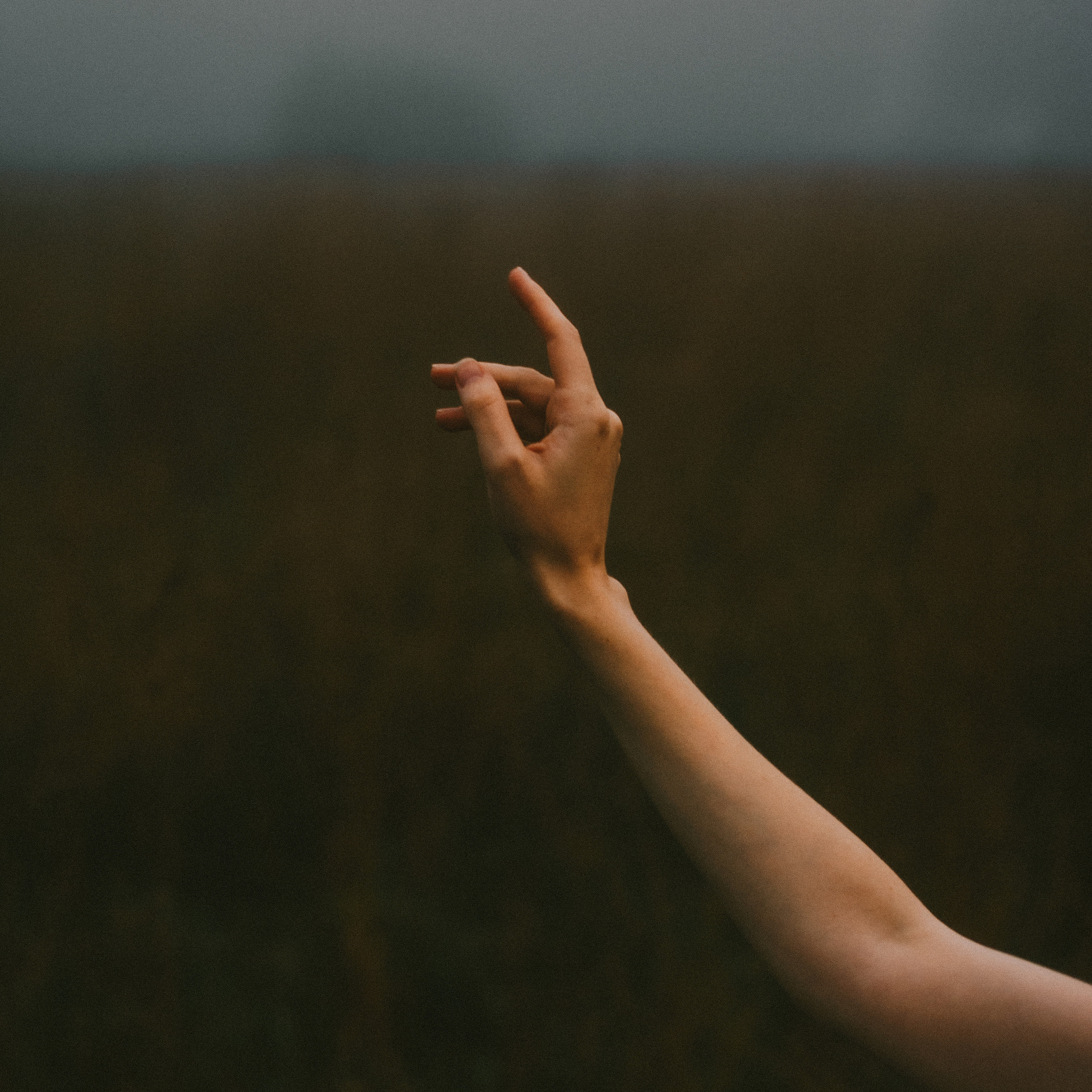 Контакты. Фотограф Ксения Рулинская (Белик), Санкт-Петербург