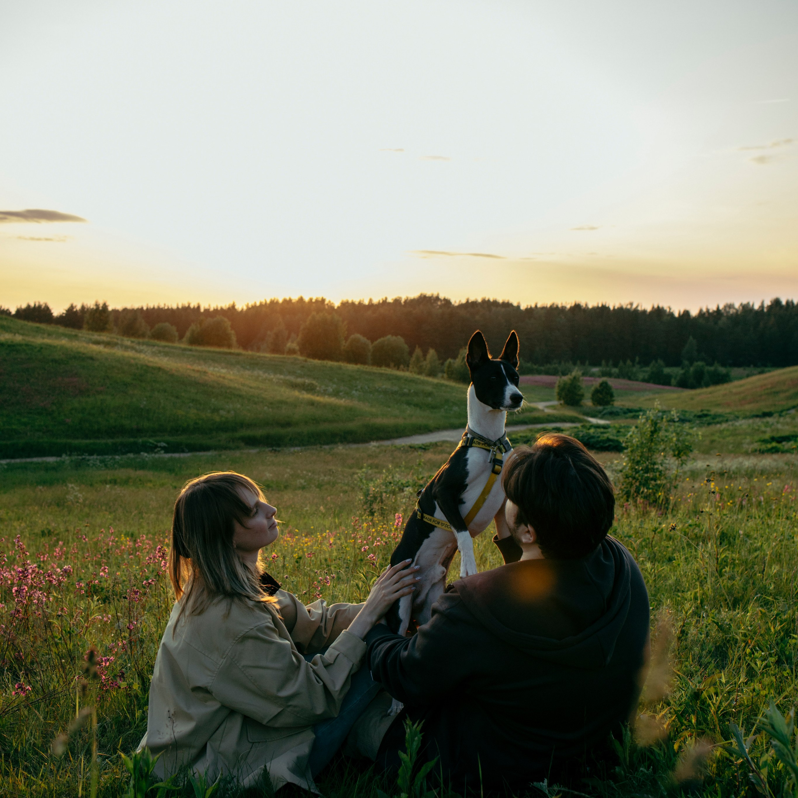 Услуги. Фотограф-анималист в Санкт-Петеребурге Титова Алиса