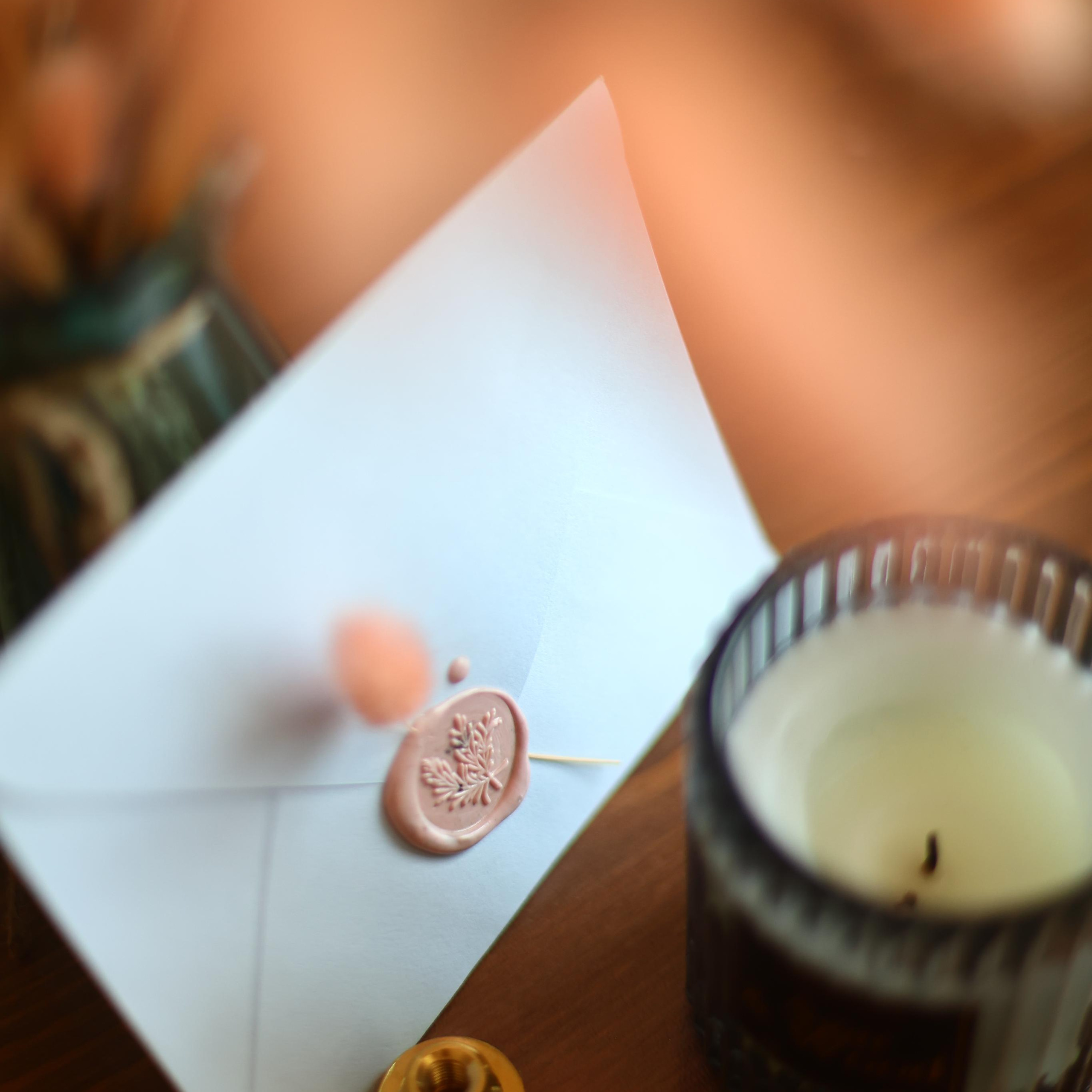 Подарочные сертификаты. Анна Молчанова конный фотограф в Тюмени | фотосессии с лошадьми Тюмень