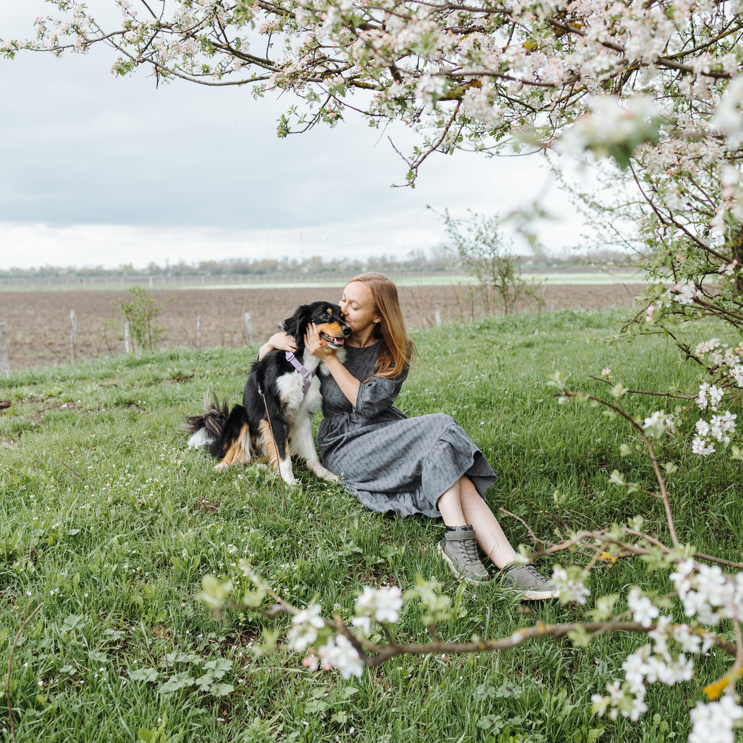 Фотограф — анималист Светлана Кысса|фотограф собак в Краснодаре и Нижнем Новгороде