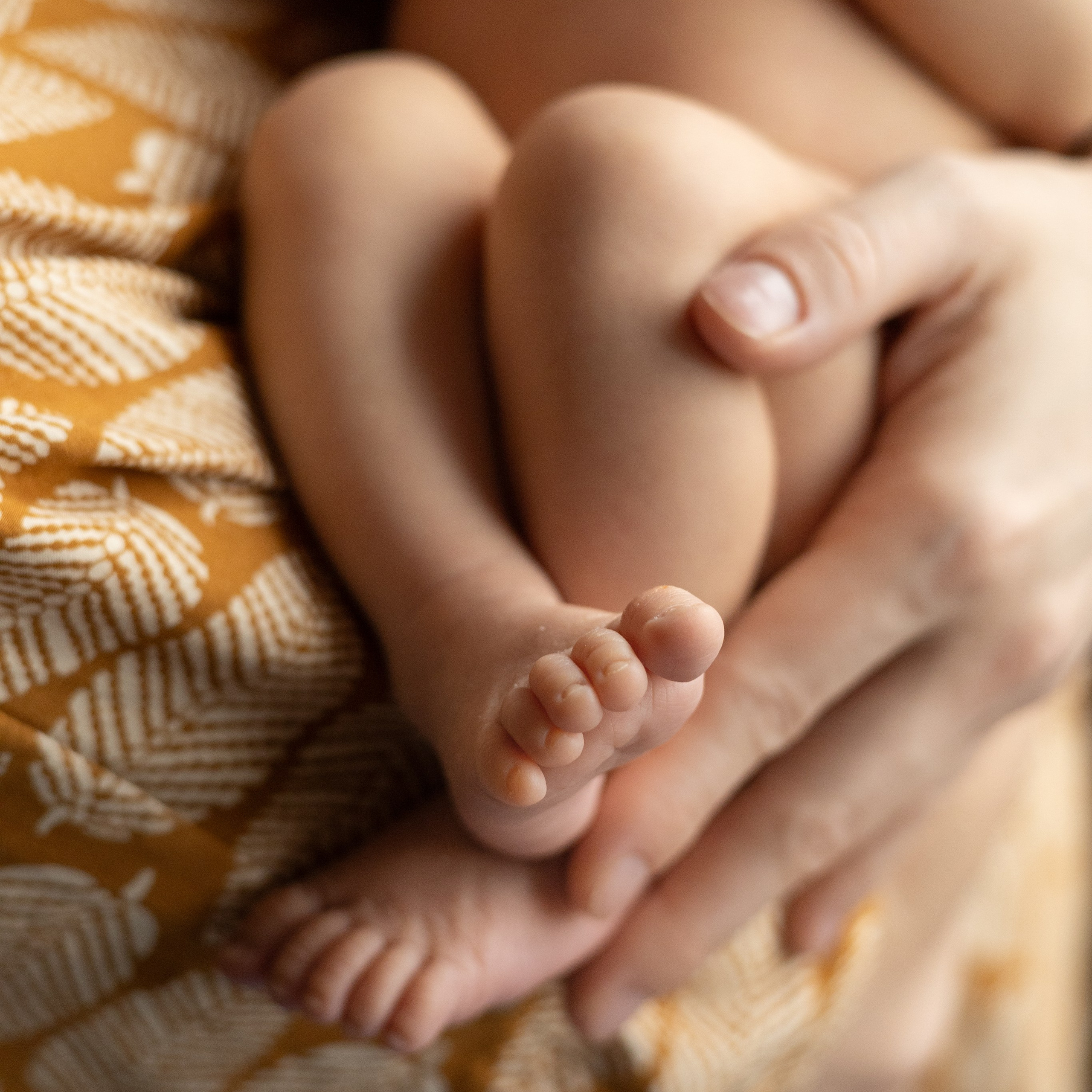 Услуги. Семейный, детский и ньюборн фотограф. Новая Москва