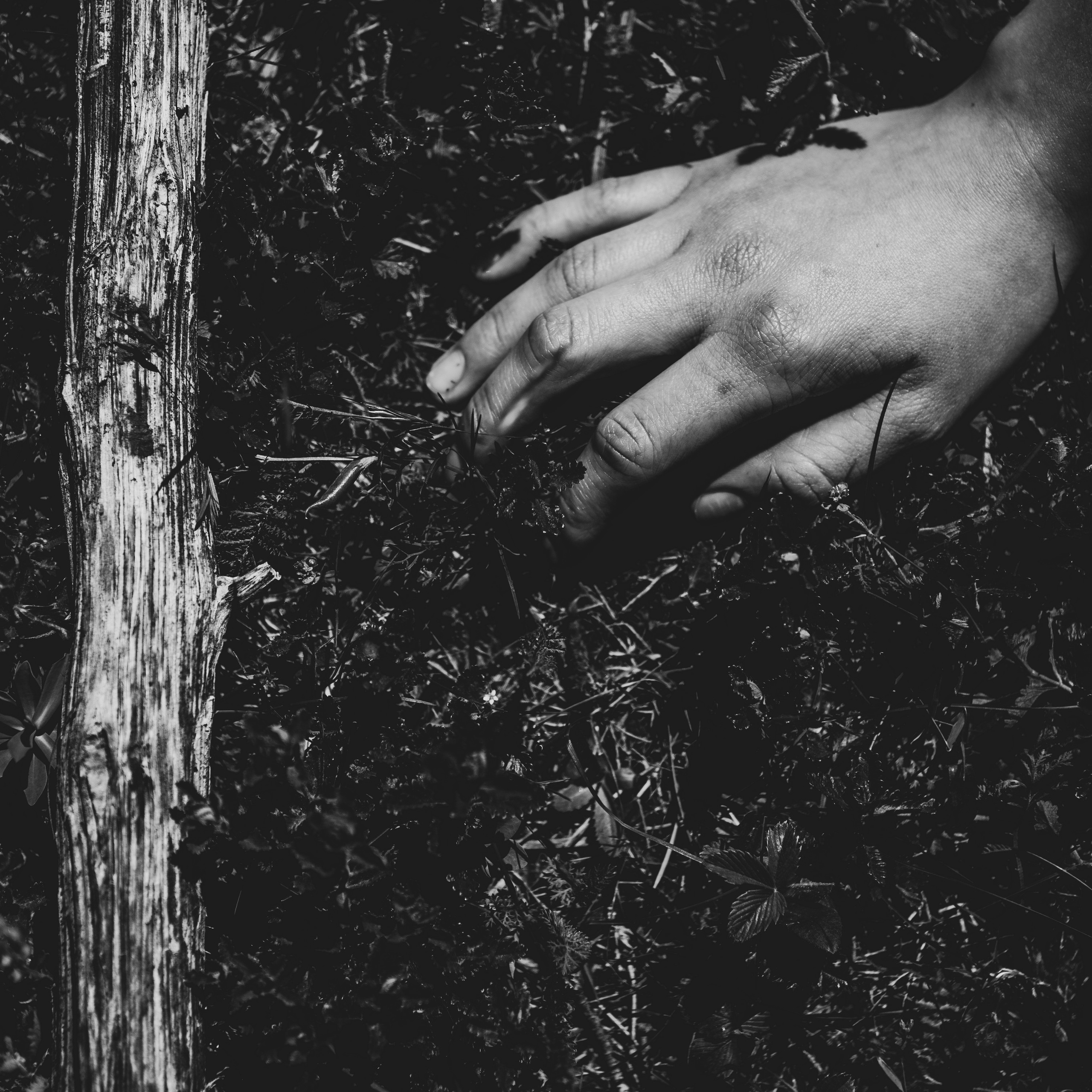 Контакты. Фотограф Кочкаев Роман