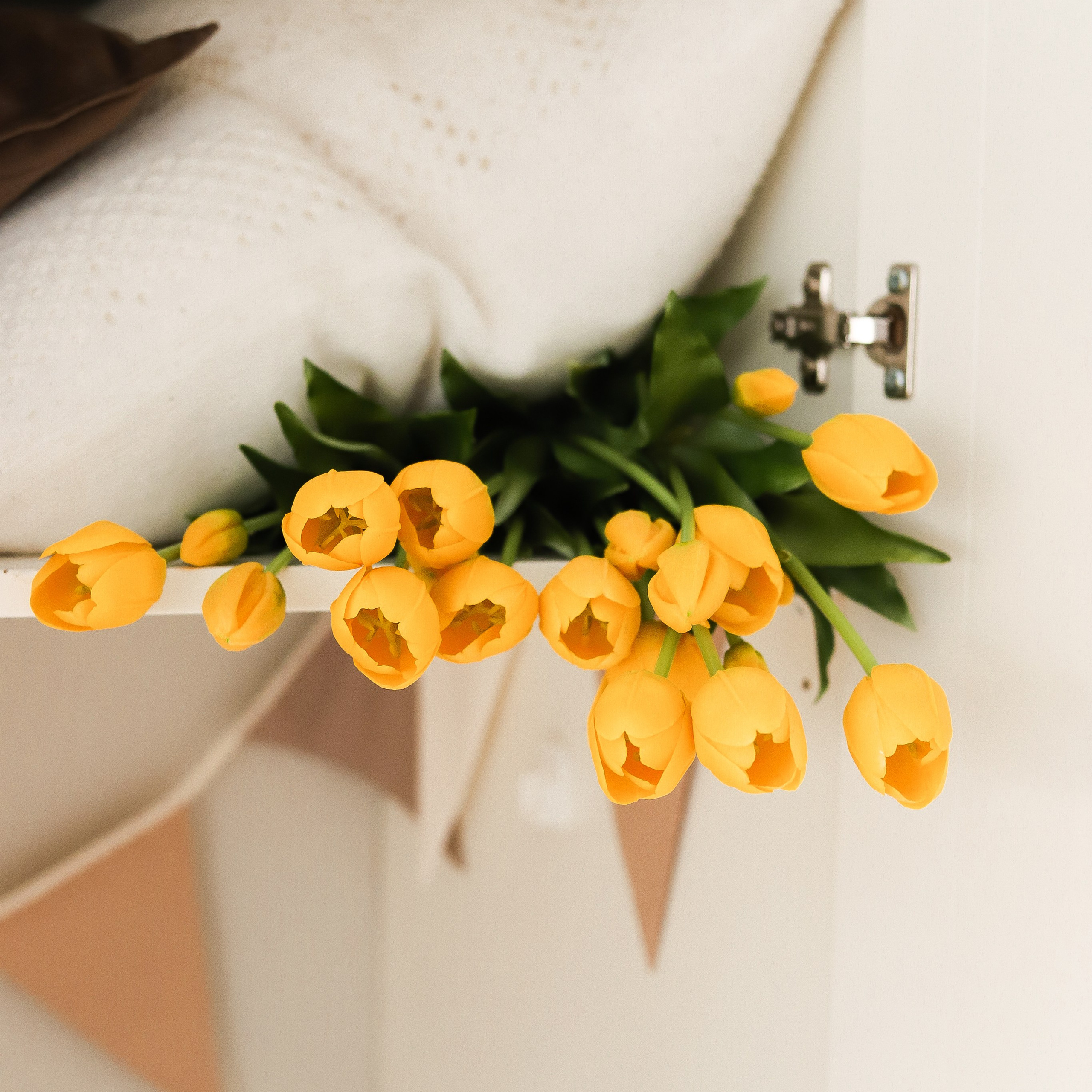 О нас. Фотостудия LIGHT в Люберцах