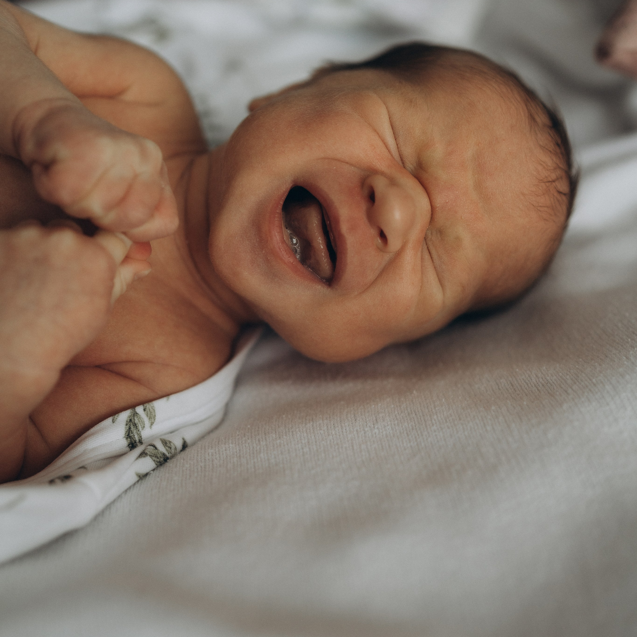 Услуги. Семейный фотограф в Москве Нехорошева Екатерина