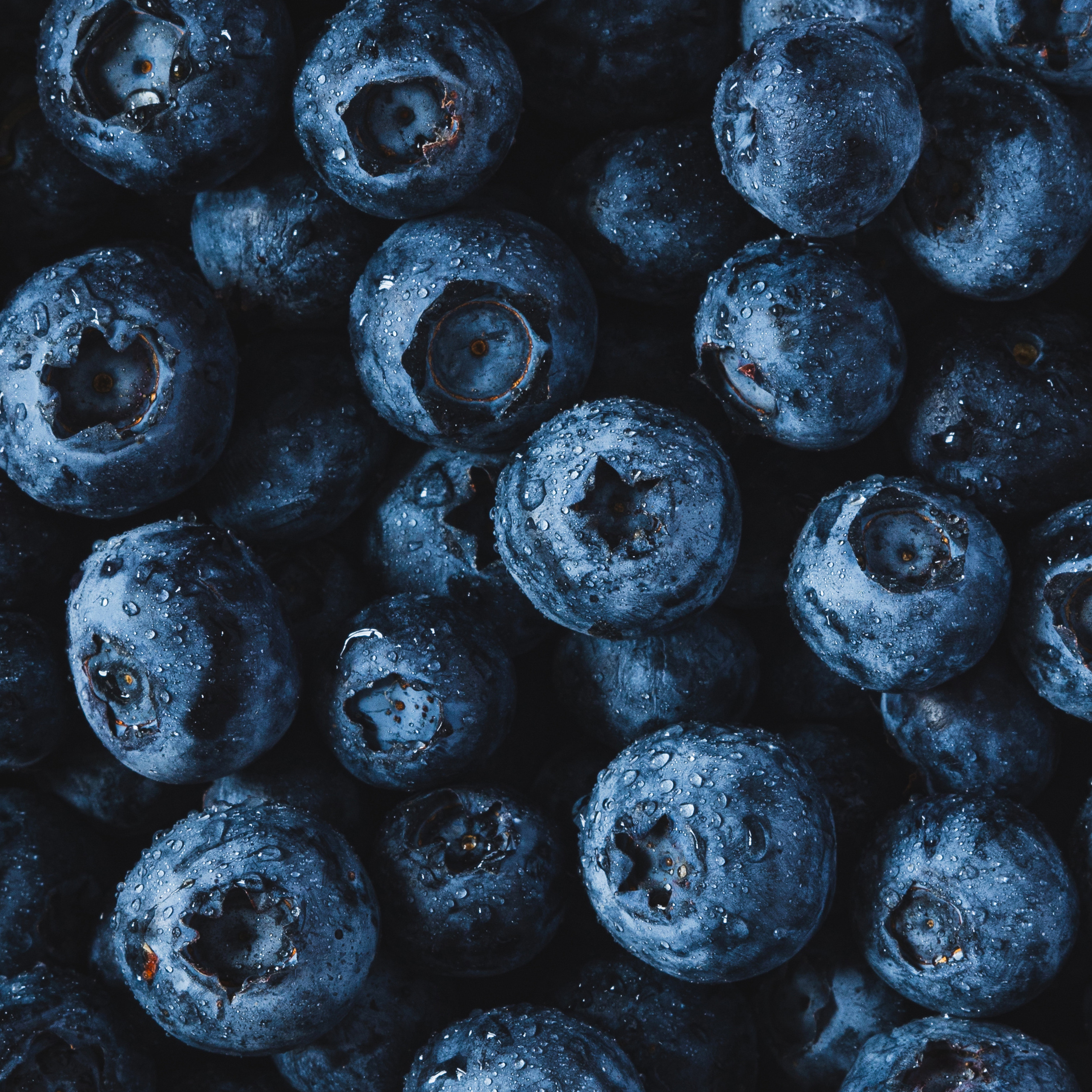 Главная. Фотограф г. Тамбов г. Воронеж Богдан Тарасов