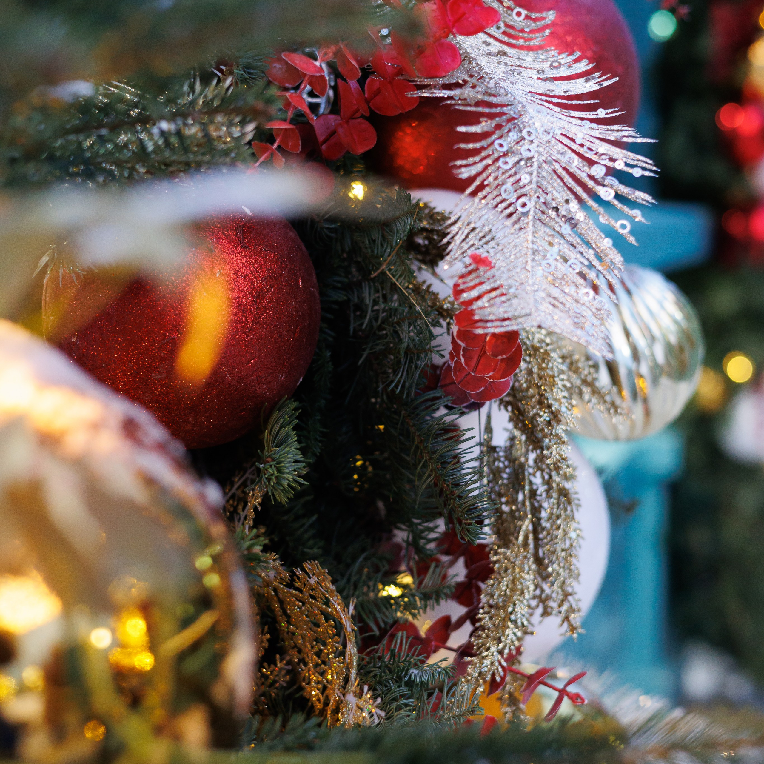 Фотограф в Москве Ксения Легенько