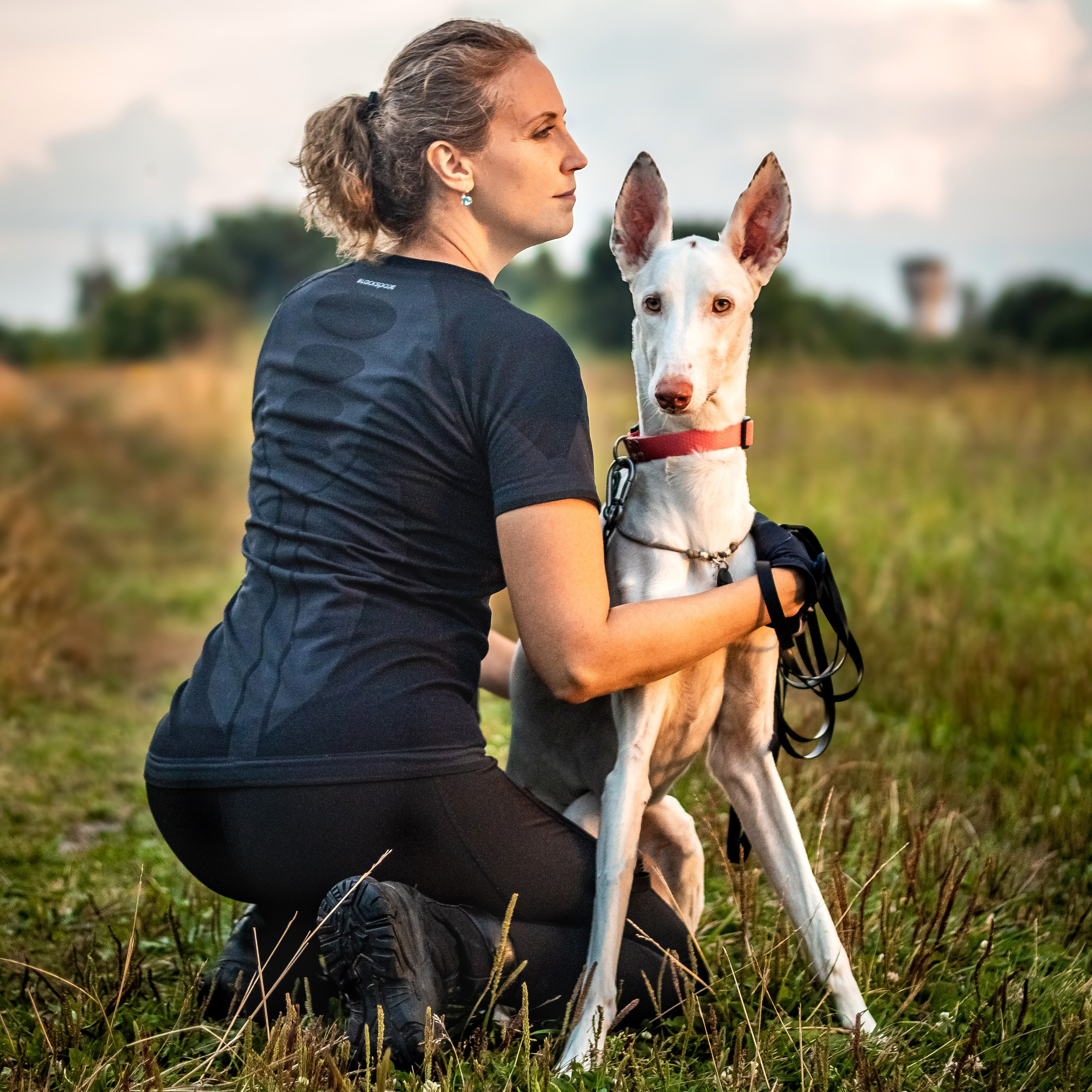 🐕 Чек-лист: 5 вещей, которые нужно взять на фотопрогулку с хвостиком!. Фотограф Екатерина Попова |Семья и питомцы|НН и Дзержинск