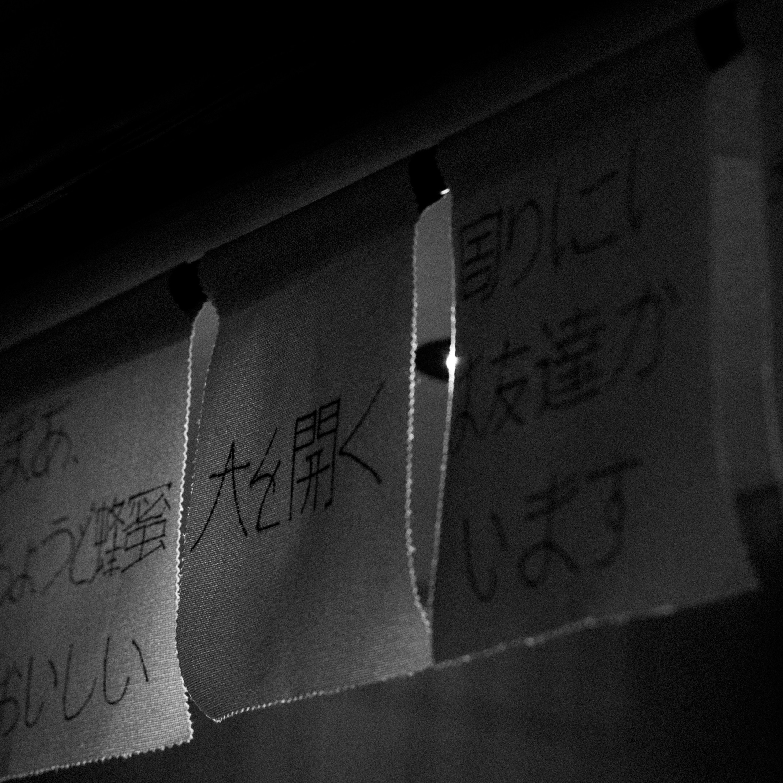 Заказать свадебного фотографа