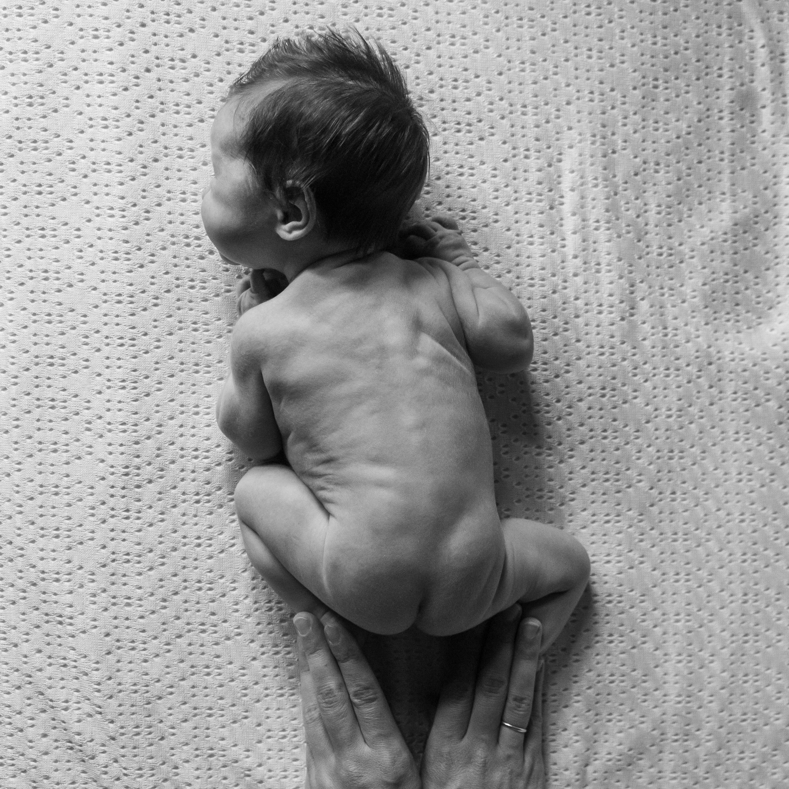 как организовать фотосессию новорожденных