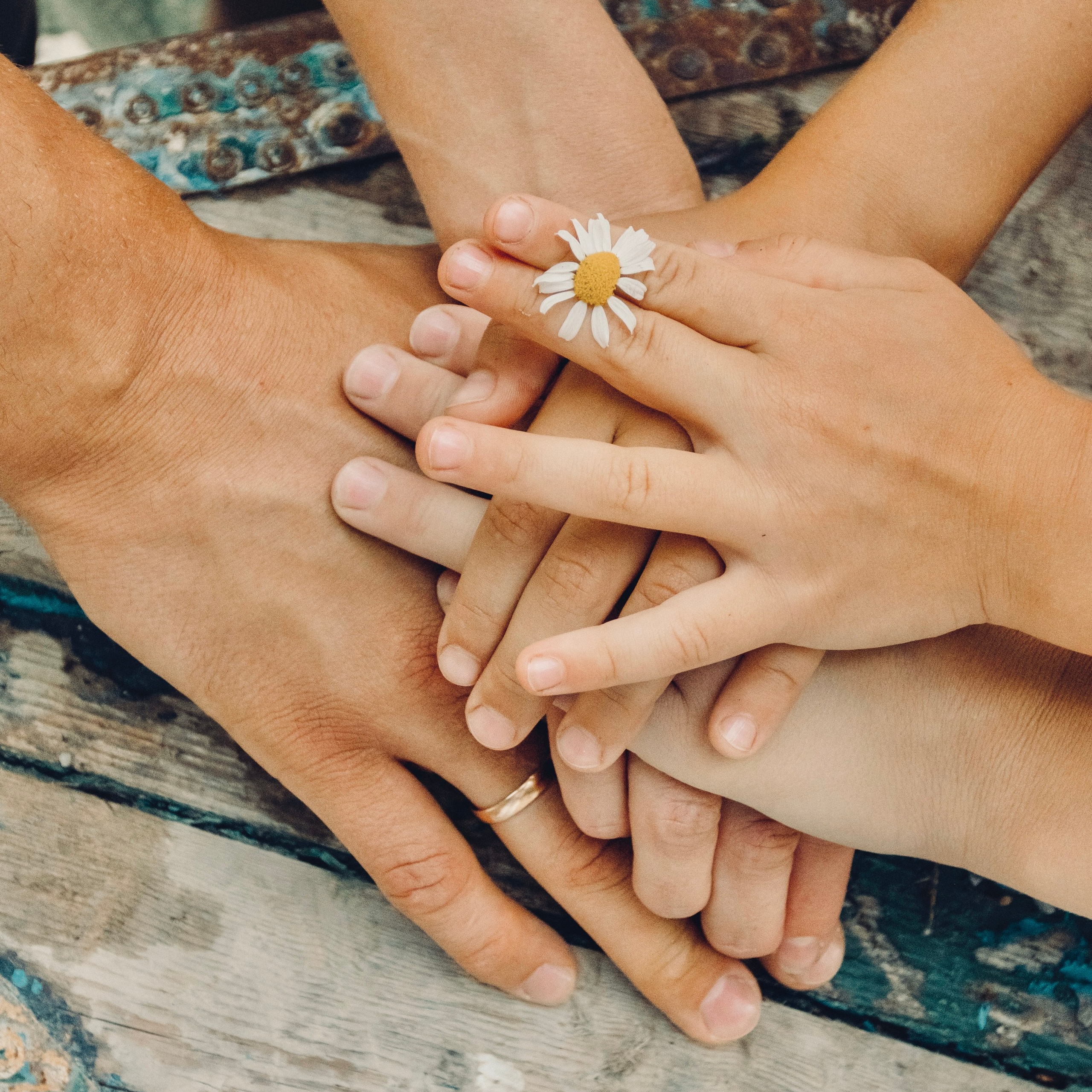 Услуги и цены. Фотограф-путешественник на побережье Краснодарского края и в Сибири!