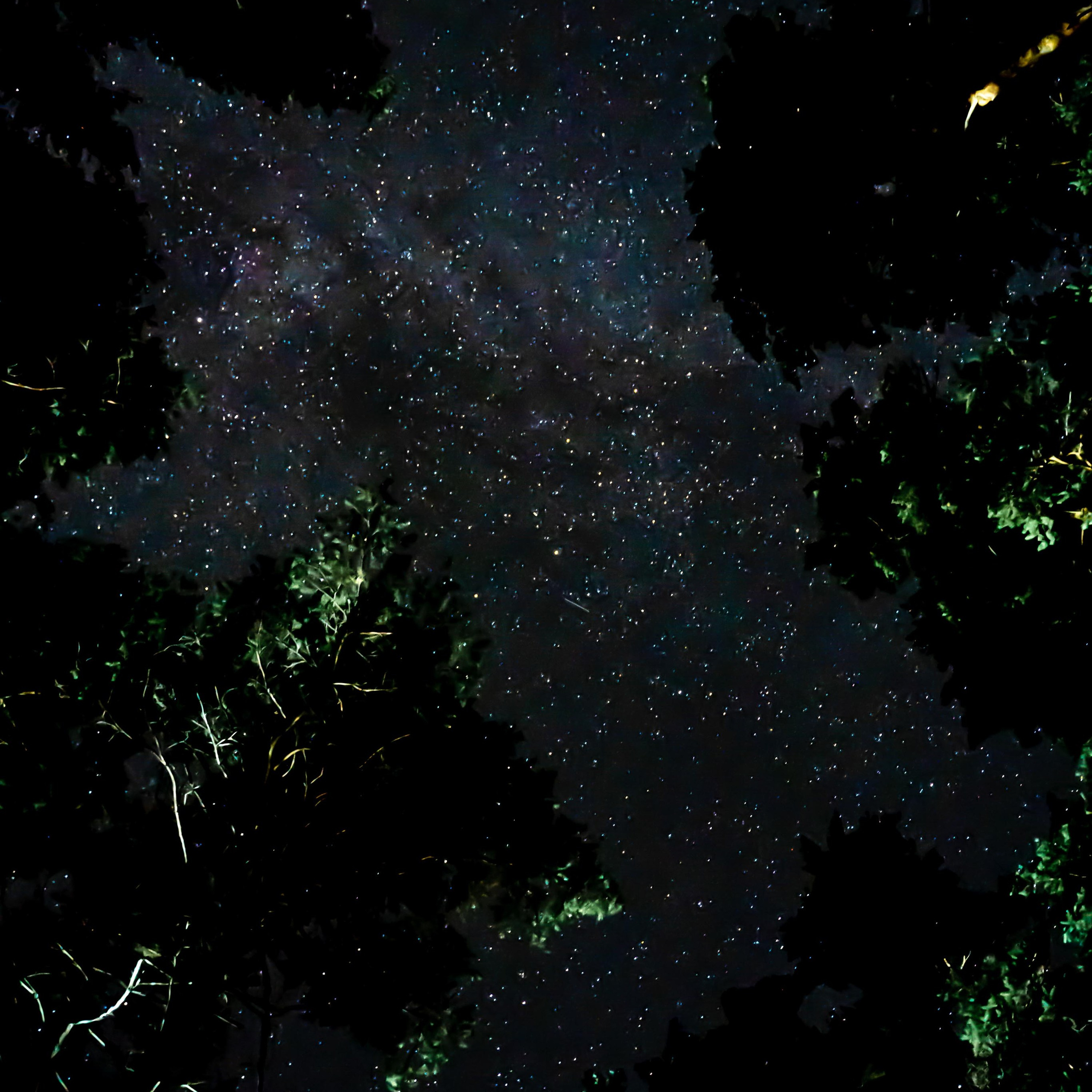 Шаманский фото-ретрит в Петяярви 2024. Лилия Гоца. Гунфу Шаолинь. Арт-фотография. Ретриты