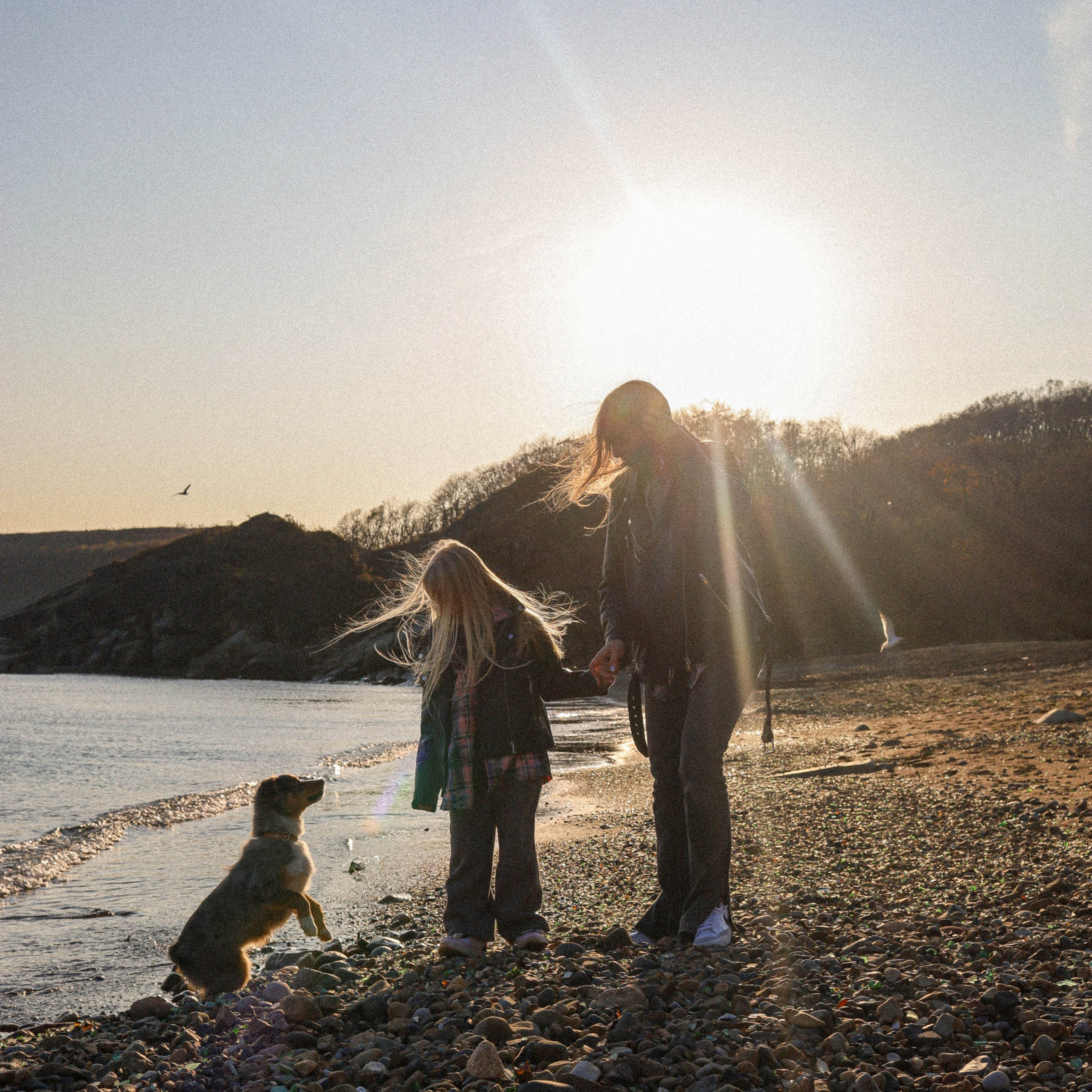 Услуги. Главная