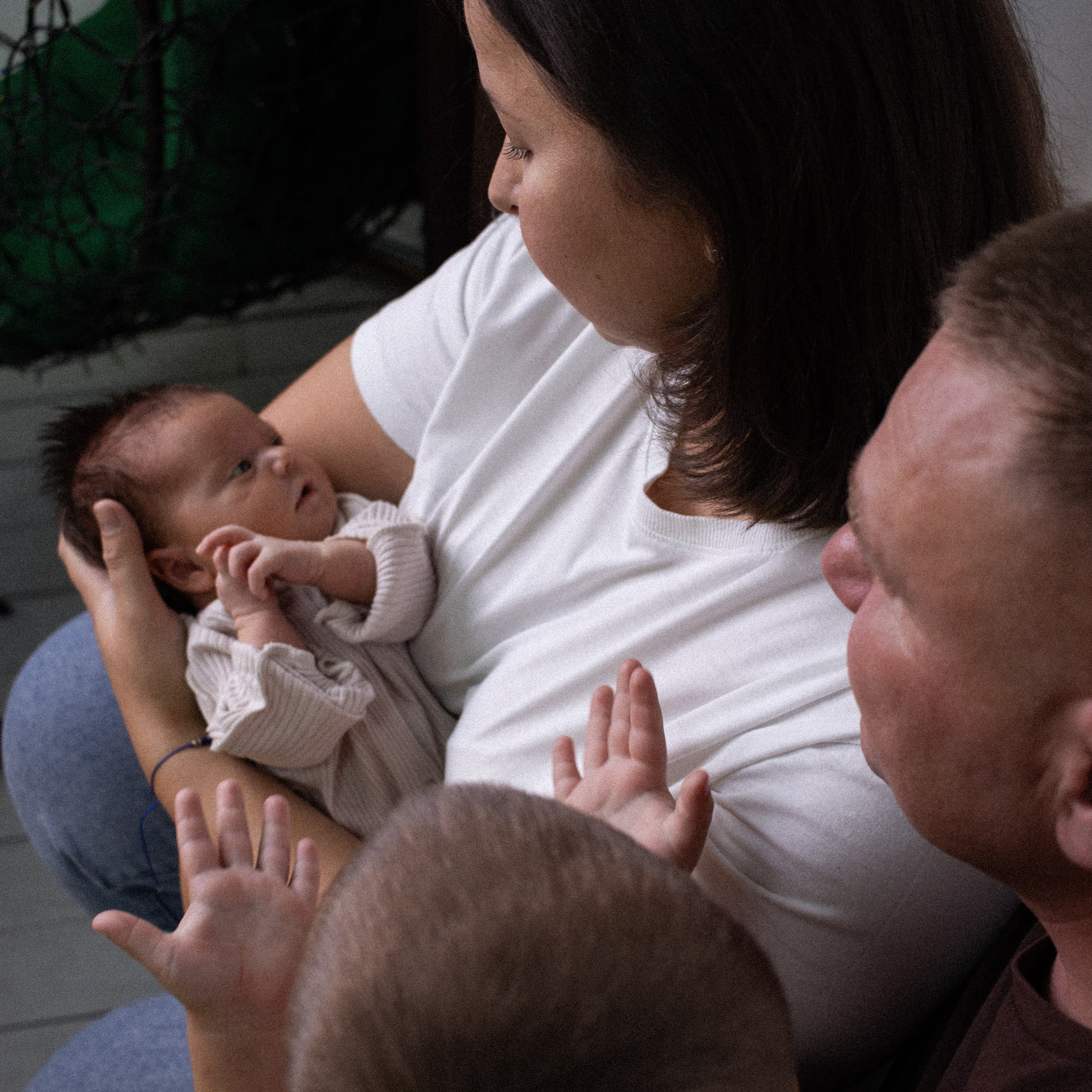 Услуги. Семейная и детская фотография в Плешаново. Валерия Вибе