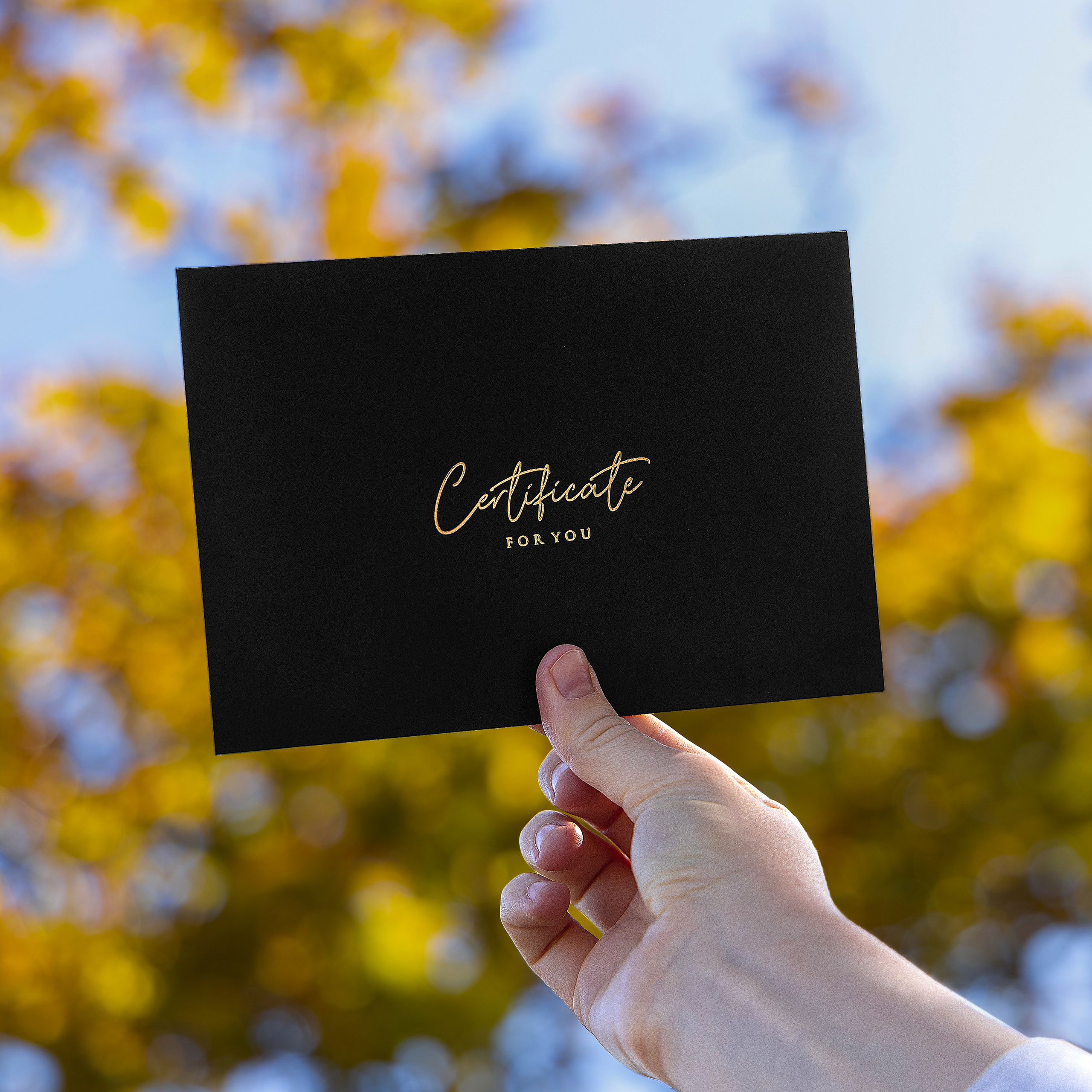 Сертификаты. Свадебный фотограф. Краснодар, Москва, Питер. Вадим Мерье