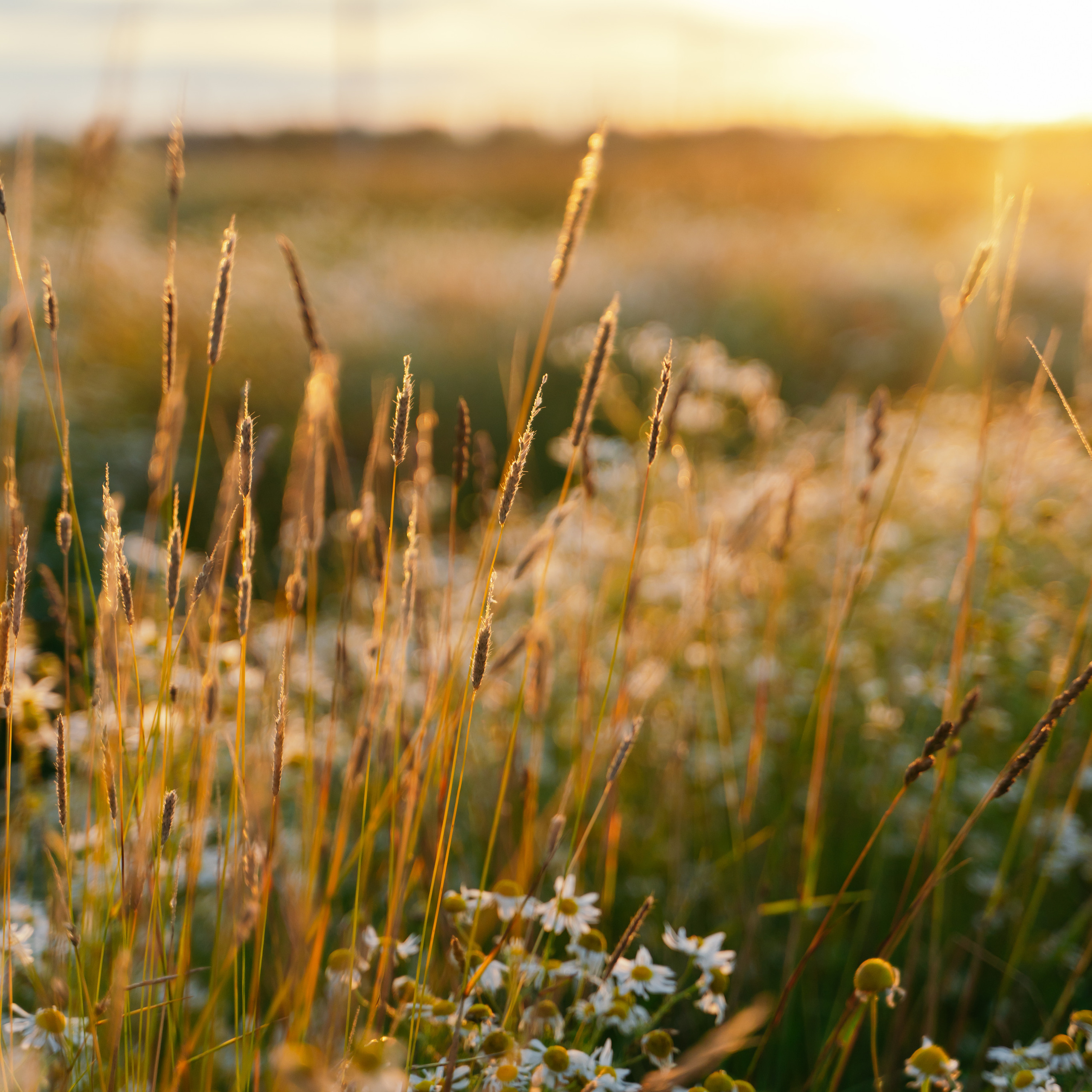 Reportage and Real Estate Photographer