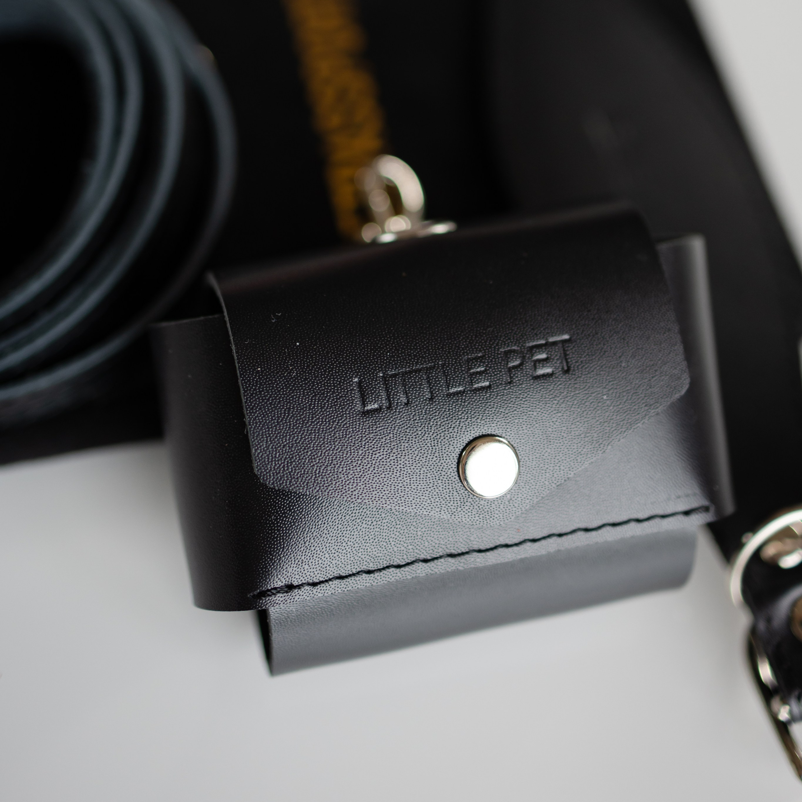 Прогулки. Профессиональный питомник левреток РКФ/FCI ASTI SAPPHIRE 💎 Сочи|Санкт-Петербург