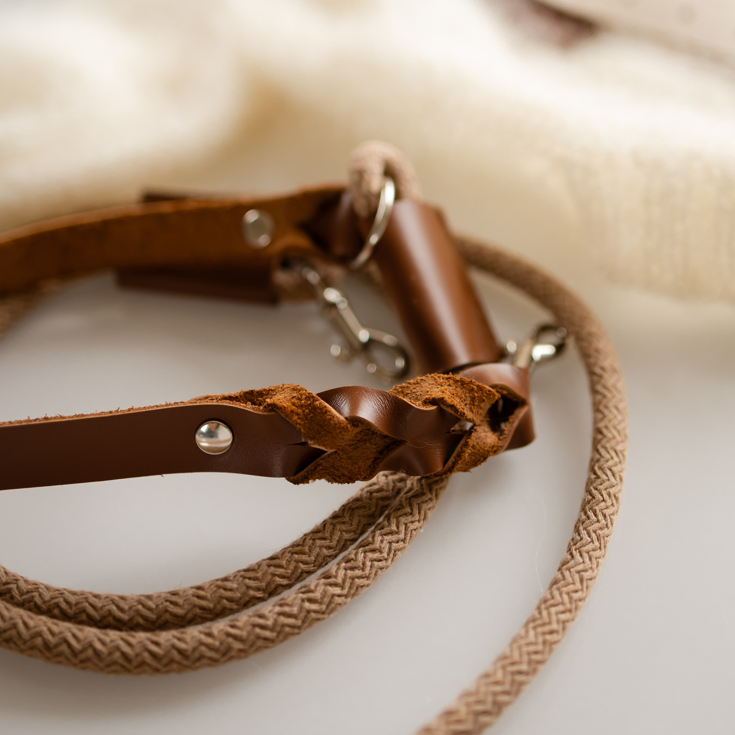 Прогулки. Профессиональный питомник левреток РКФ/FCI ASTI SAPPHIRE 💎 Сочи|Санкт-Петербург