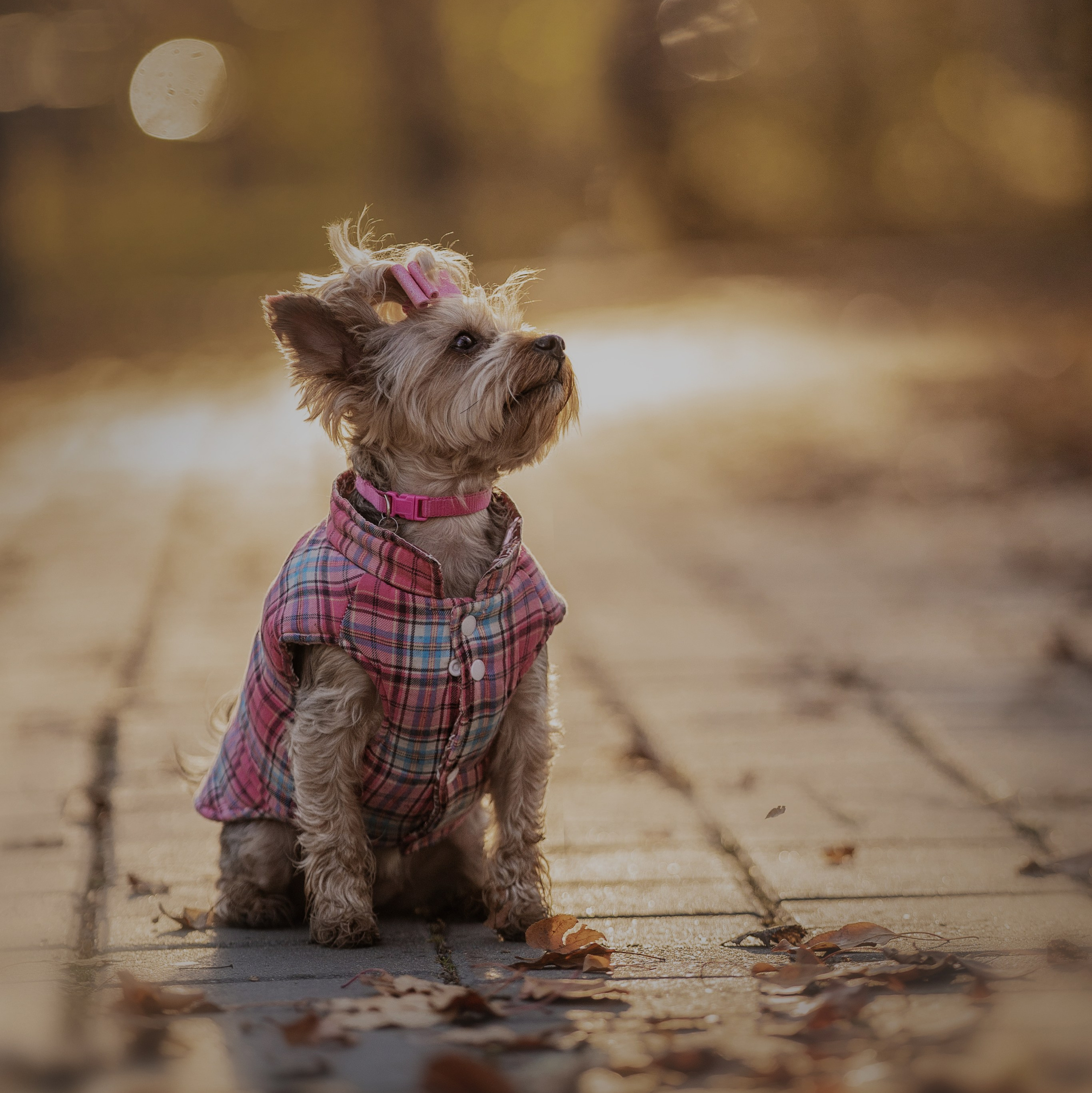 Услуги. Kameramotor74