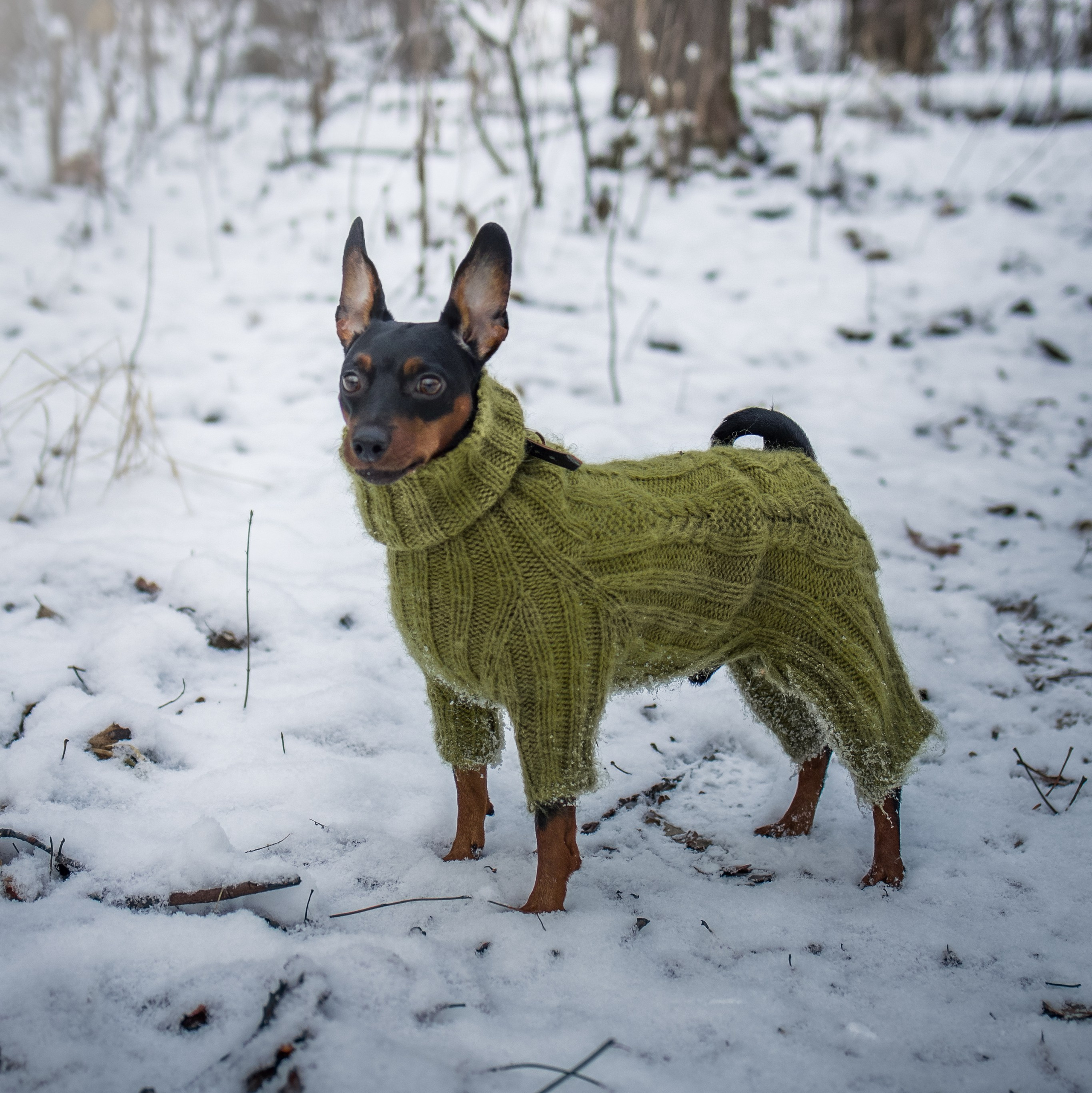 Художественная фотография