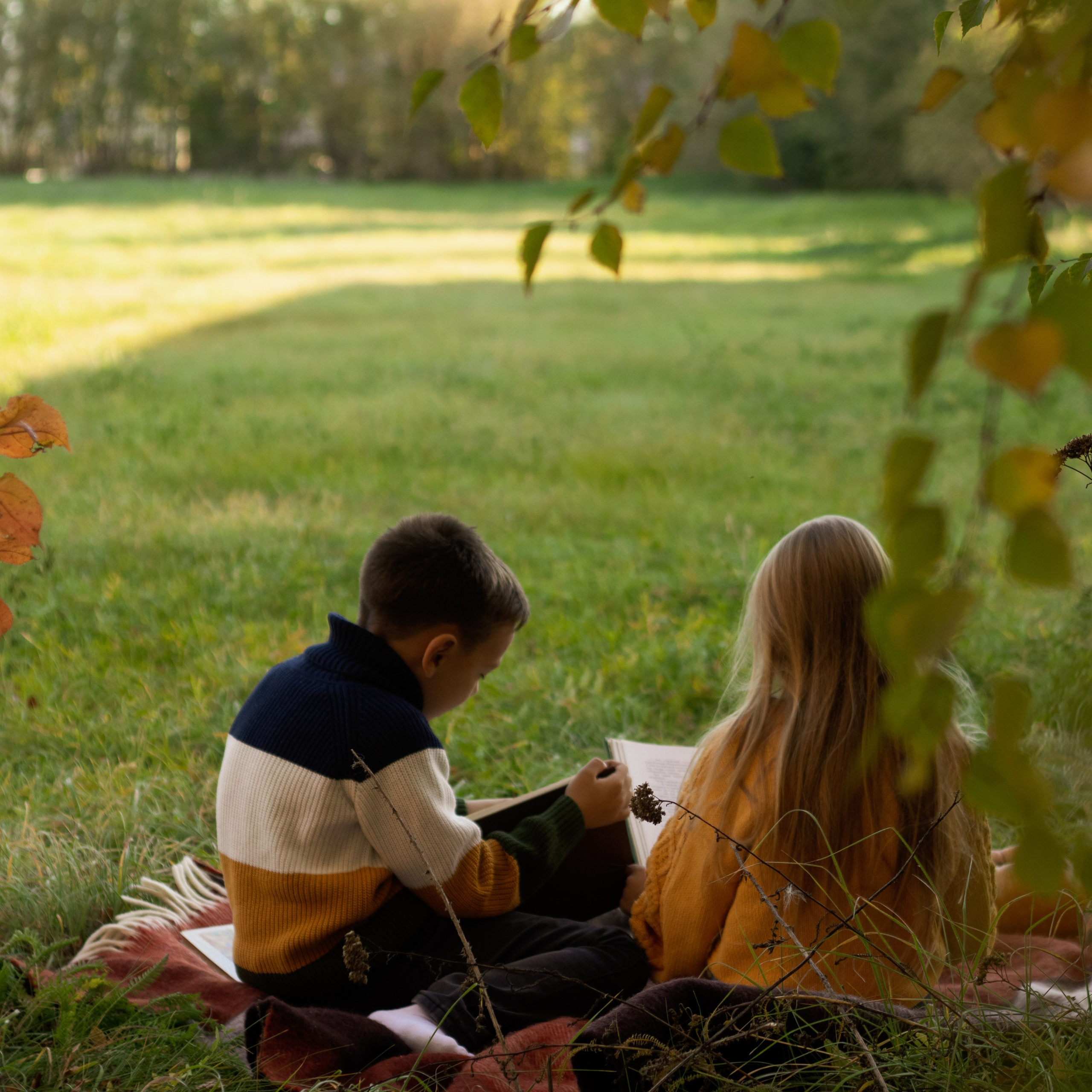 Услуги. Семейная и детская фотография в Плешаново. Валерия Вибе