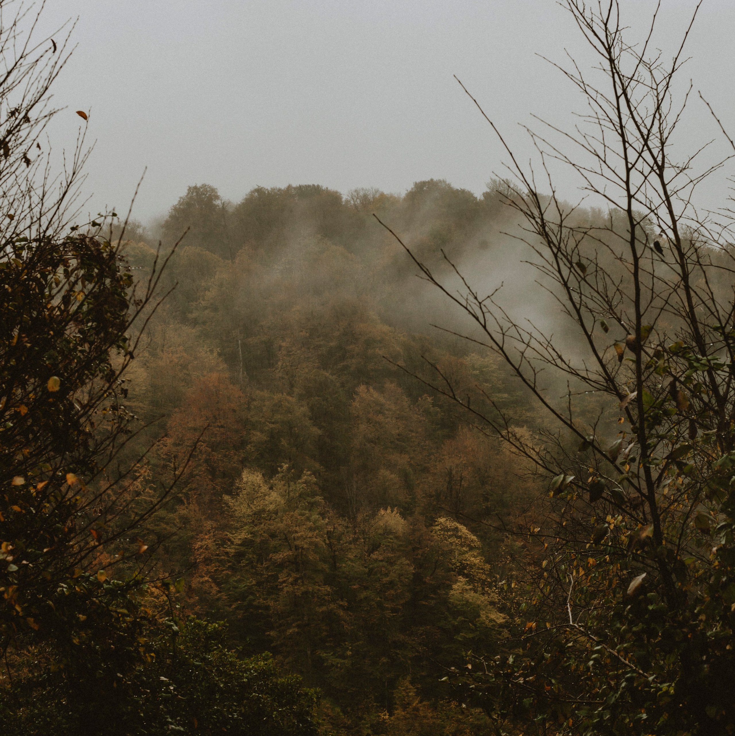 SCHOOL ALBUM. Фотограф и видеограф в Санкт-Петербурге Прилепин Слава