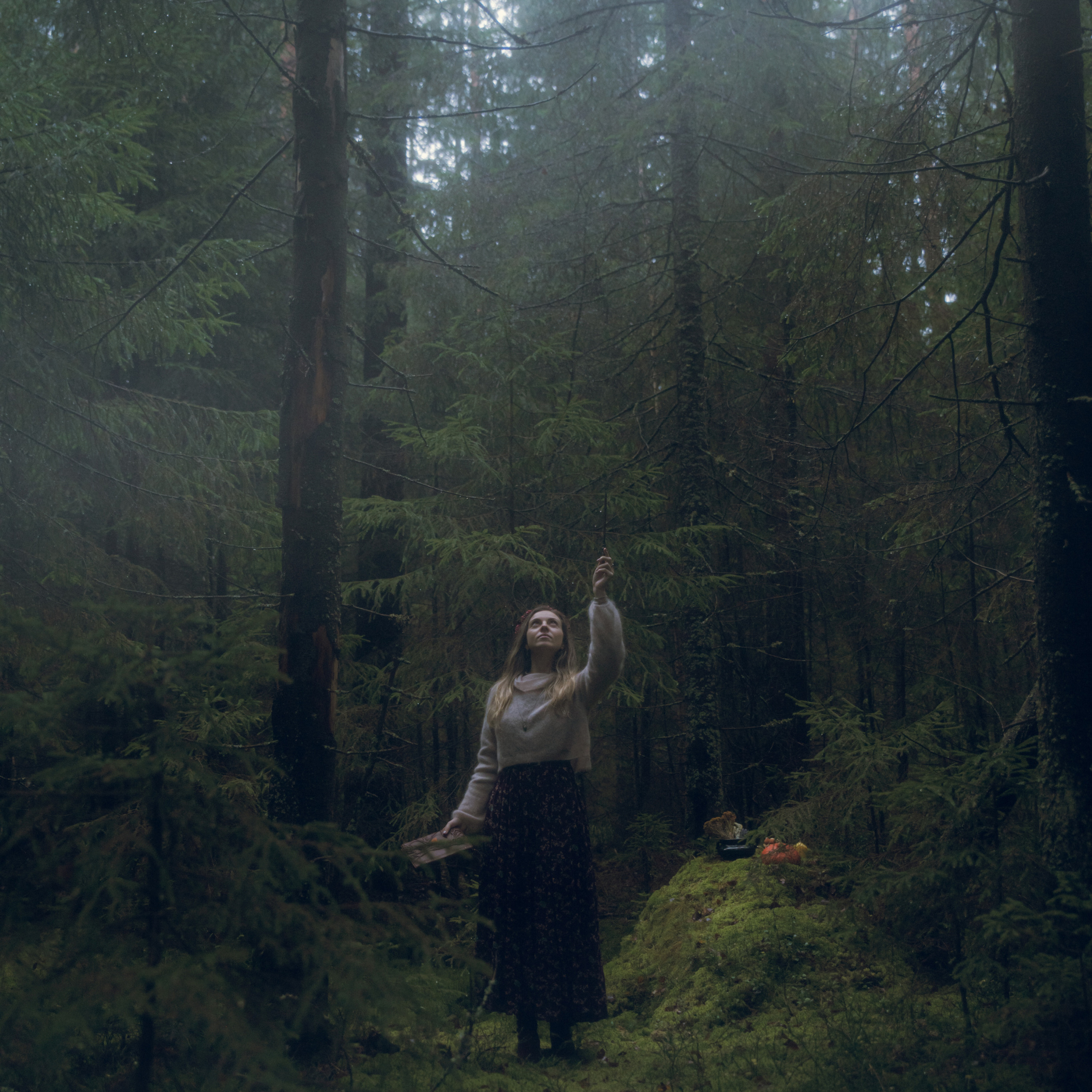 Арт-фотографии. Лилия Гоца. Гунфу Шаолинь. Арт-фотография. Ретриты