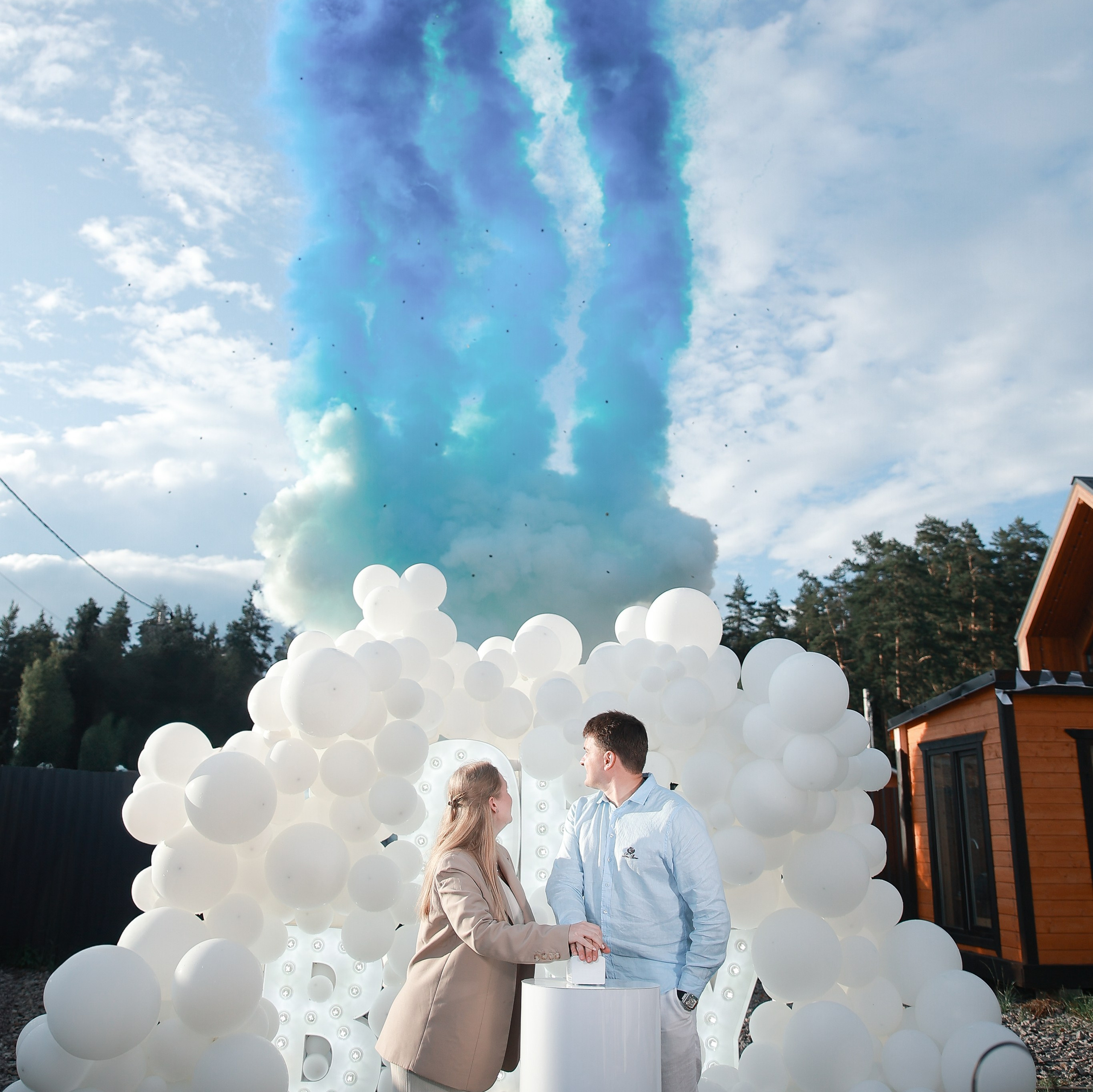 Пакеты. Организация Gender Party под ключ. Москва и МО