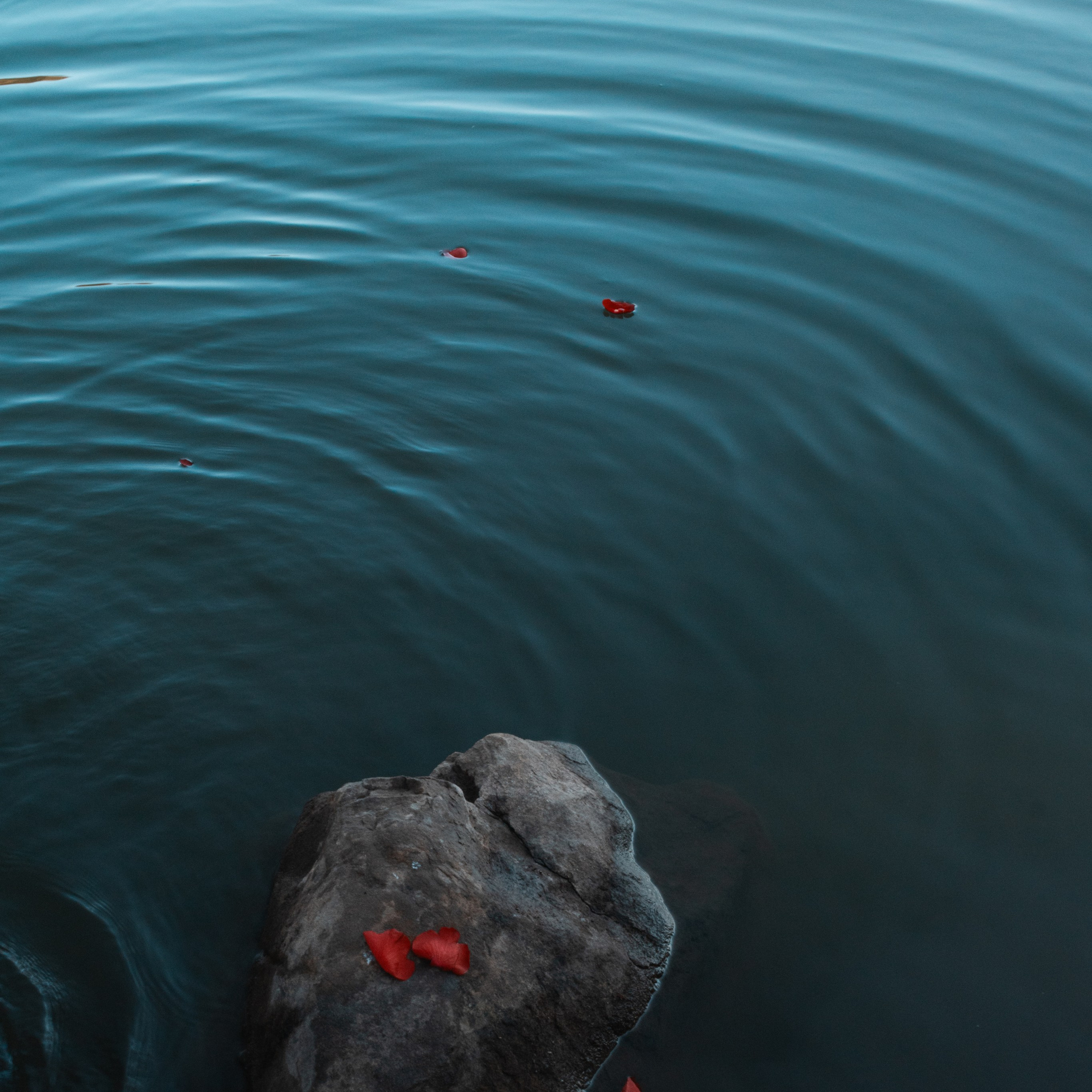 Фотограф во Владивостоке. Портретная и свадебная съёмка. А. Селин