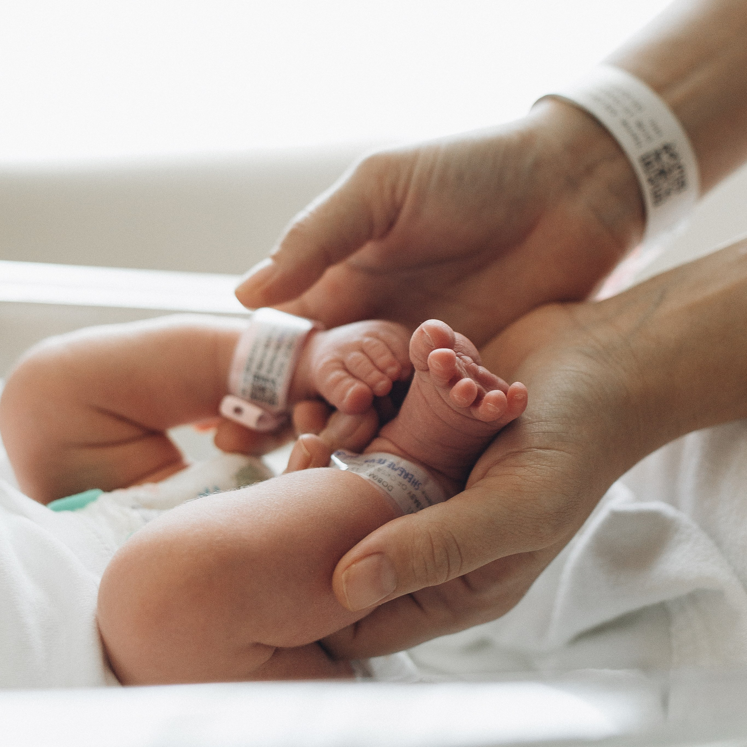 Услуги и цены. Семейный фотограф в Москве Елена Дудкина