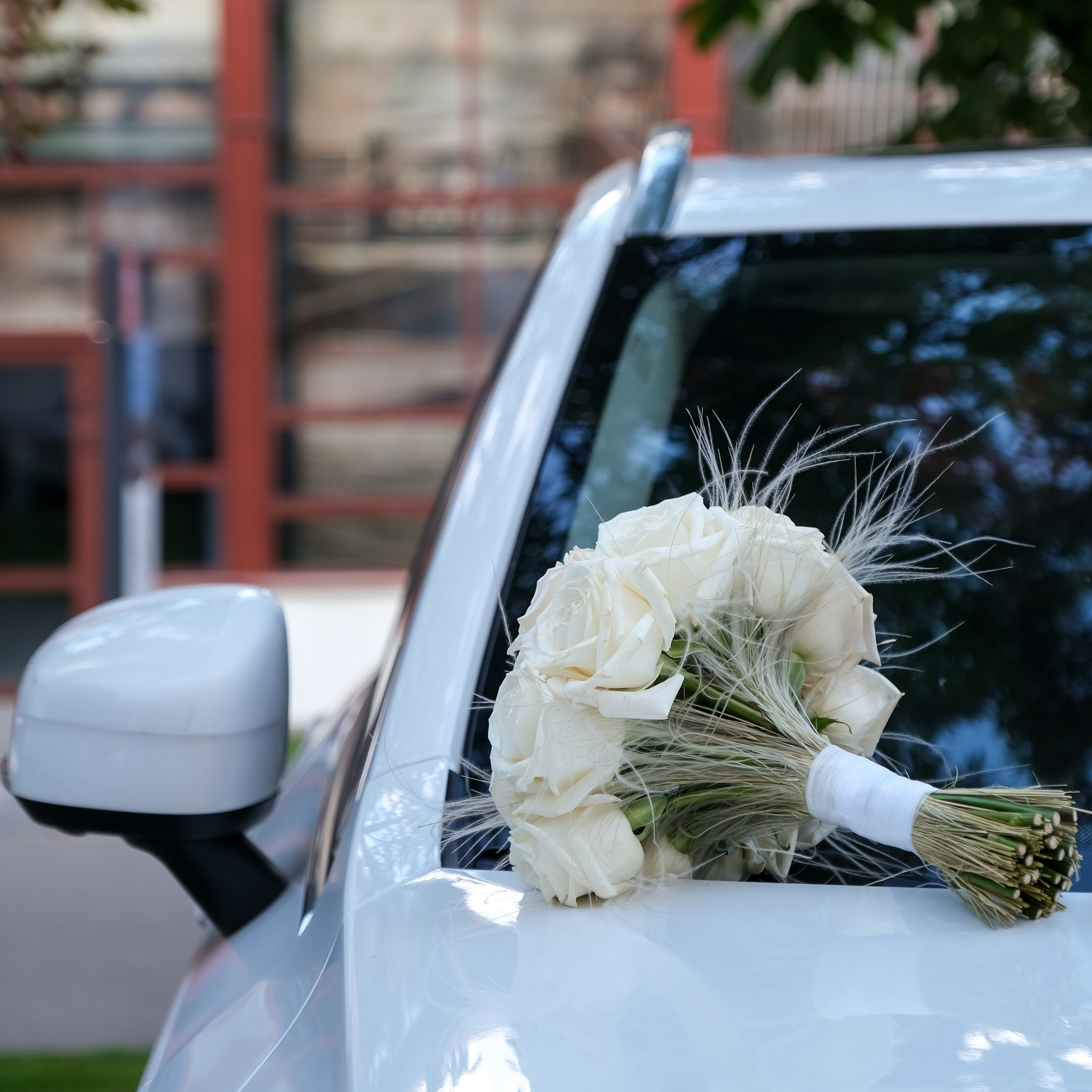Стоимость услуг. Семейный фотограф в Москве Светлана Потемкина