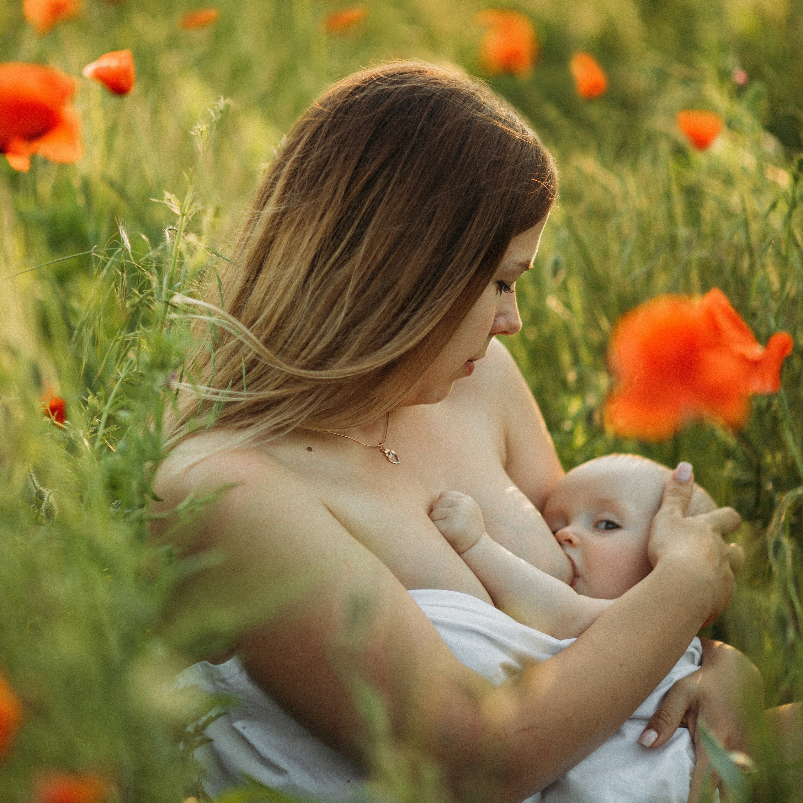 Контакты. Семейный фотограф Елена Клименко (Sunlight)