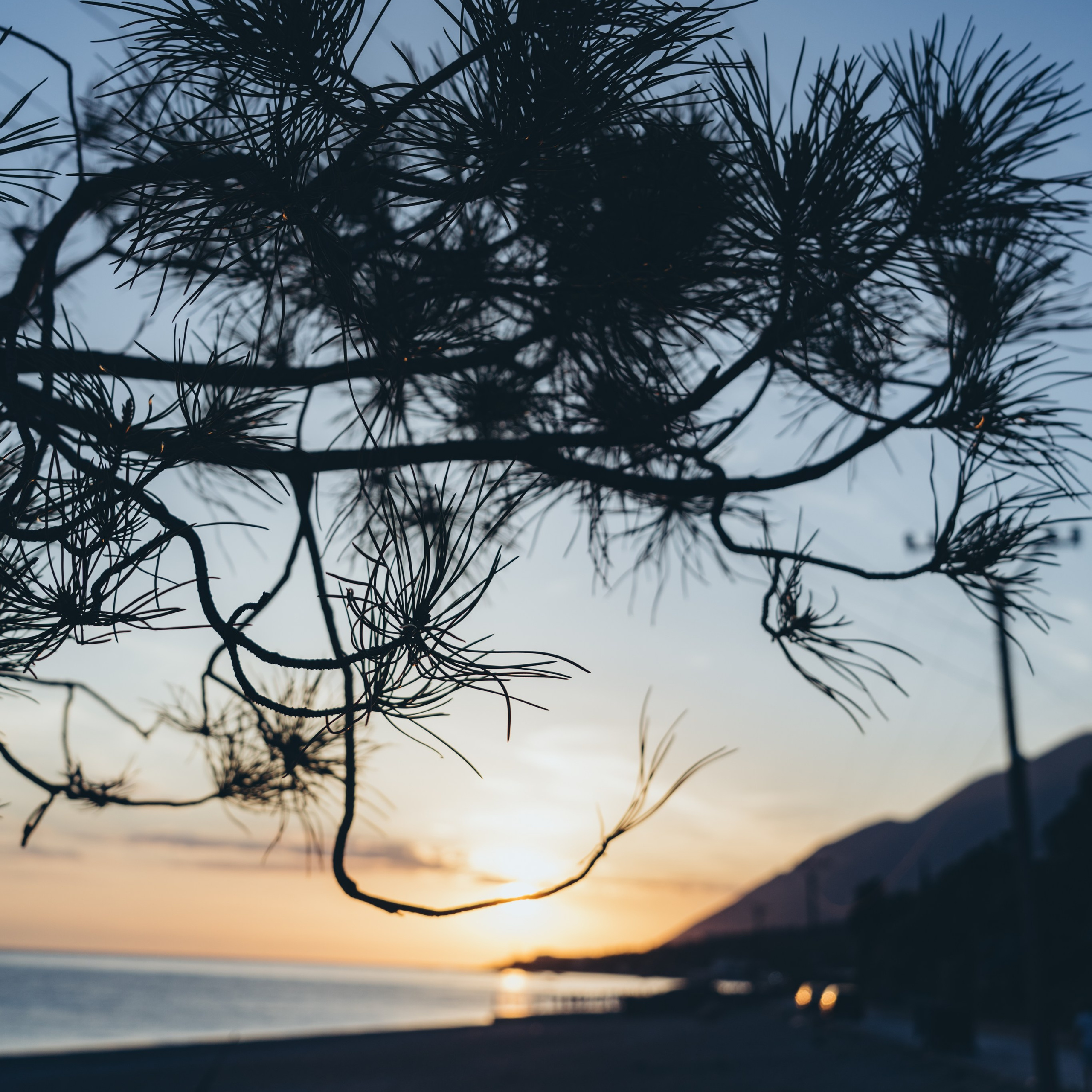 Антонина Пехова | Услуги фотографа