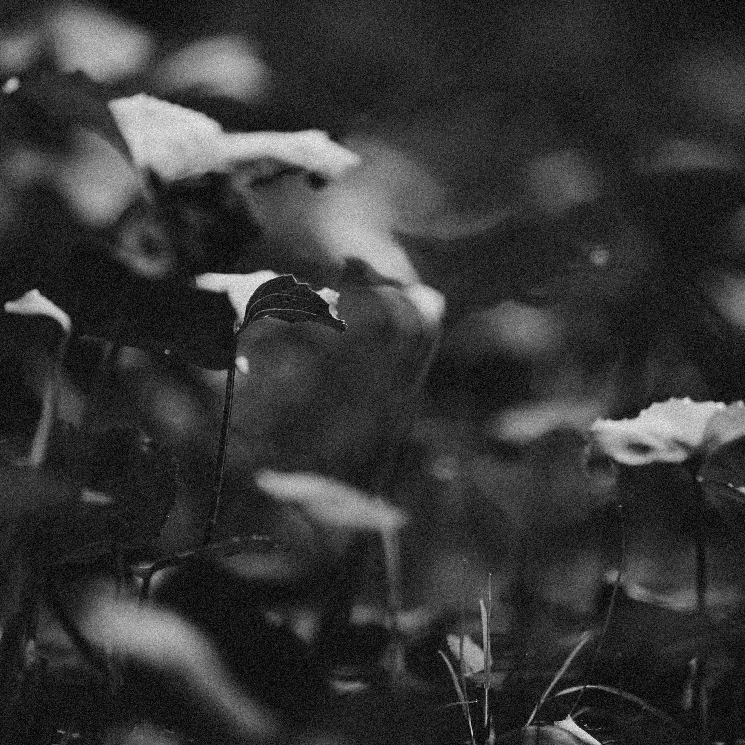 Обо мне. Фотограф Москва Селюкова Юлия