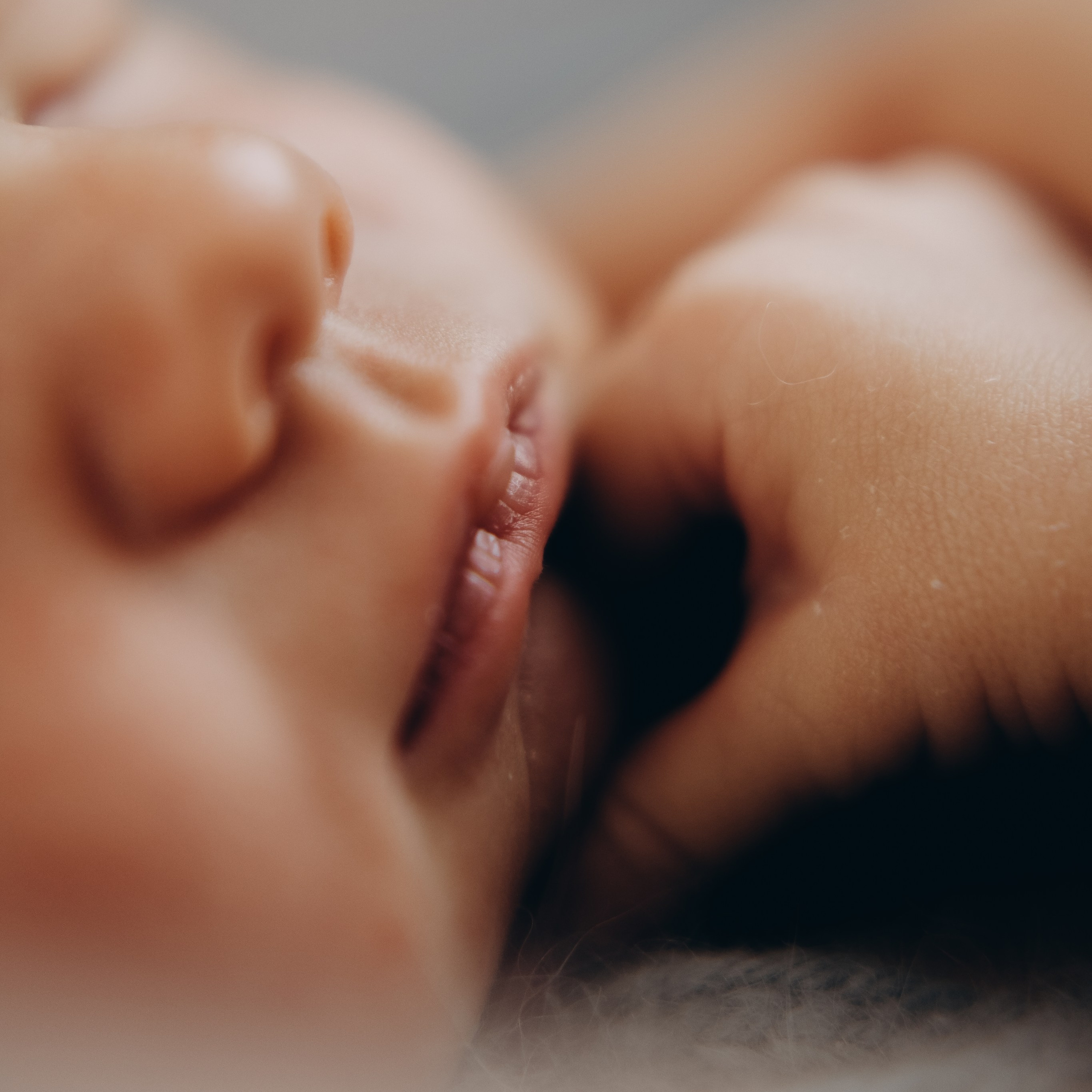 Прайс. Ньюборн и детский фотограф в Москве Шигина Марина