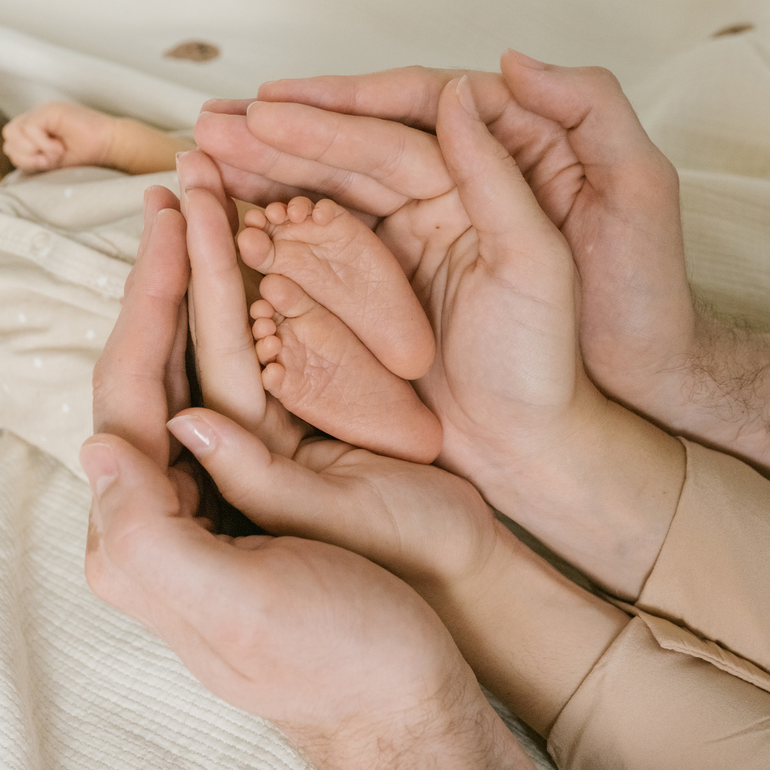 Стоимость. Фотограф в Кемерово Анастасия Филаткина