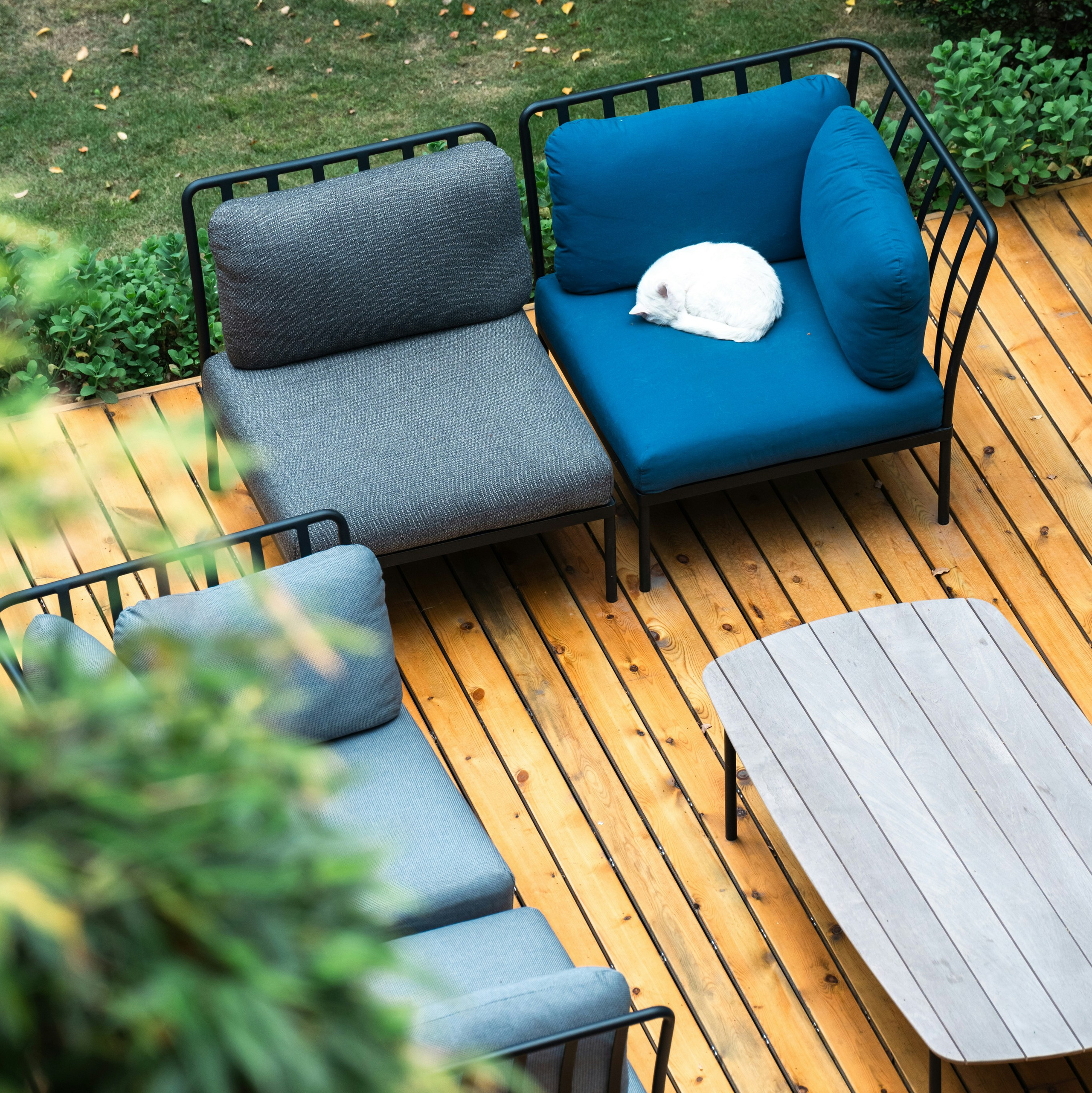 Ландшафтный дизайн. Главная