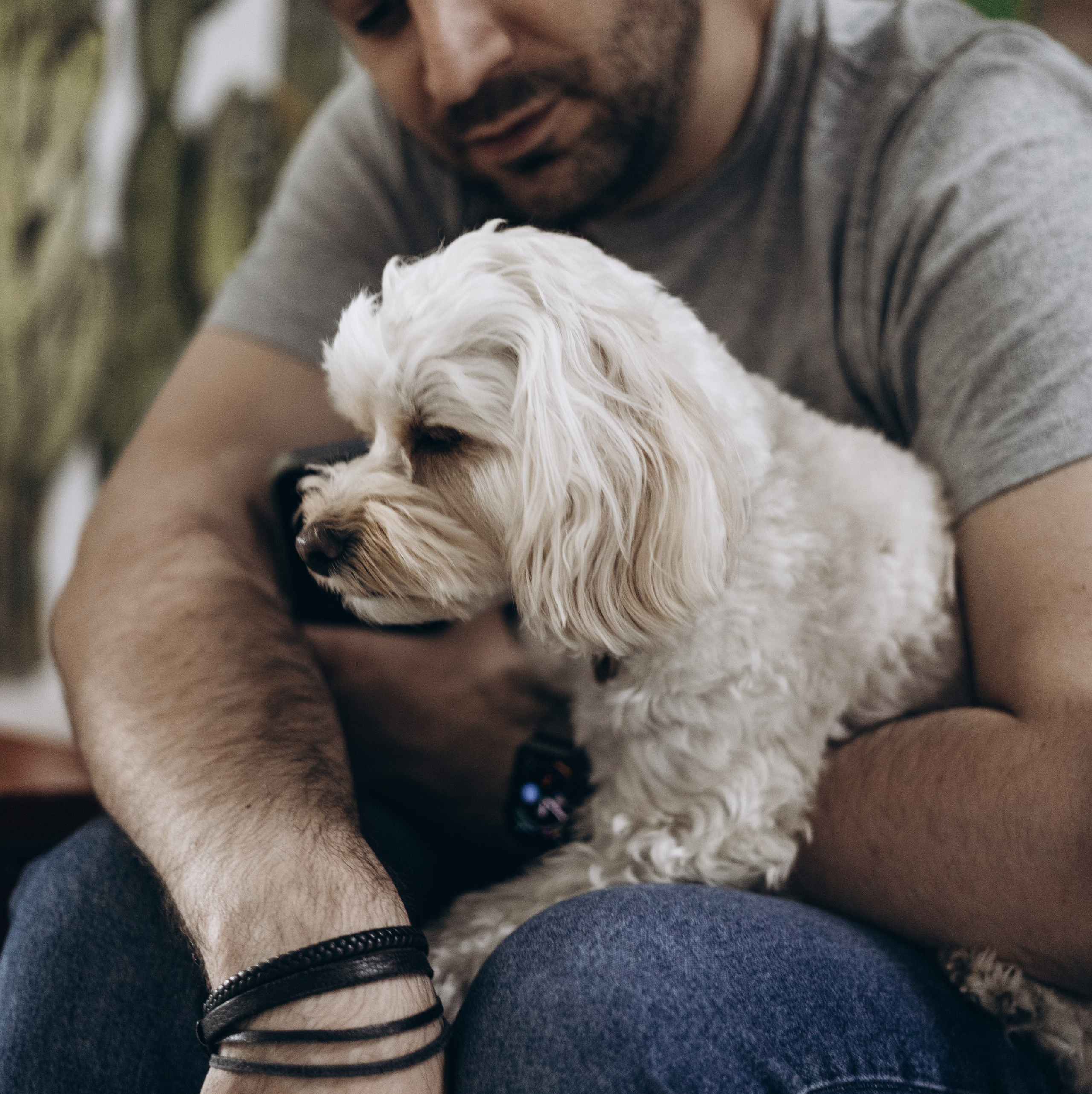 Услуги. Bayt Of Love