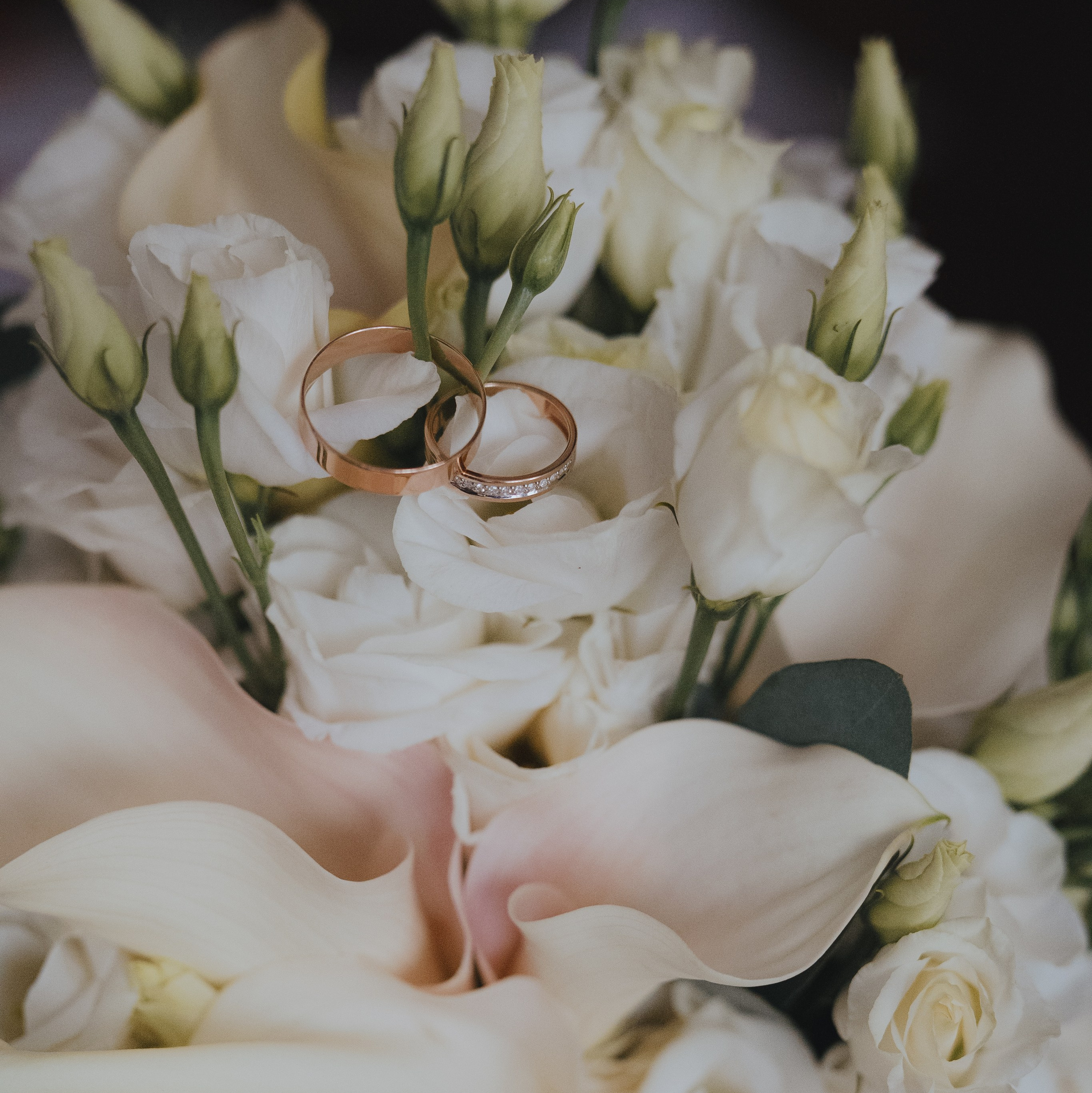 Свадебный прайс. Свадебный и репортажный фотограф Москва. Николай Бойко